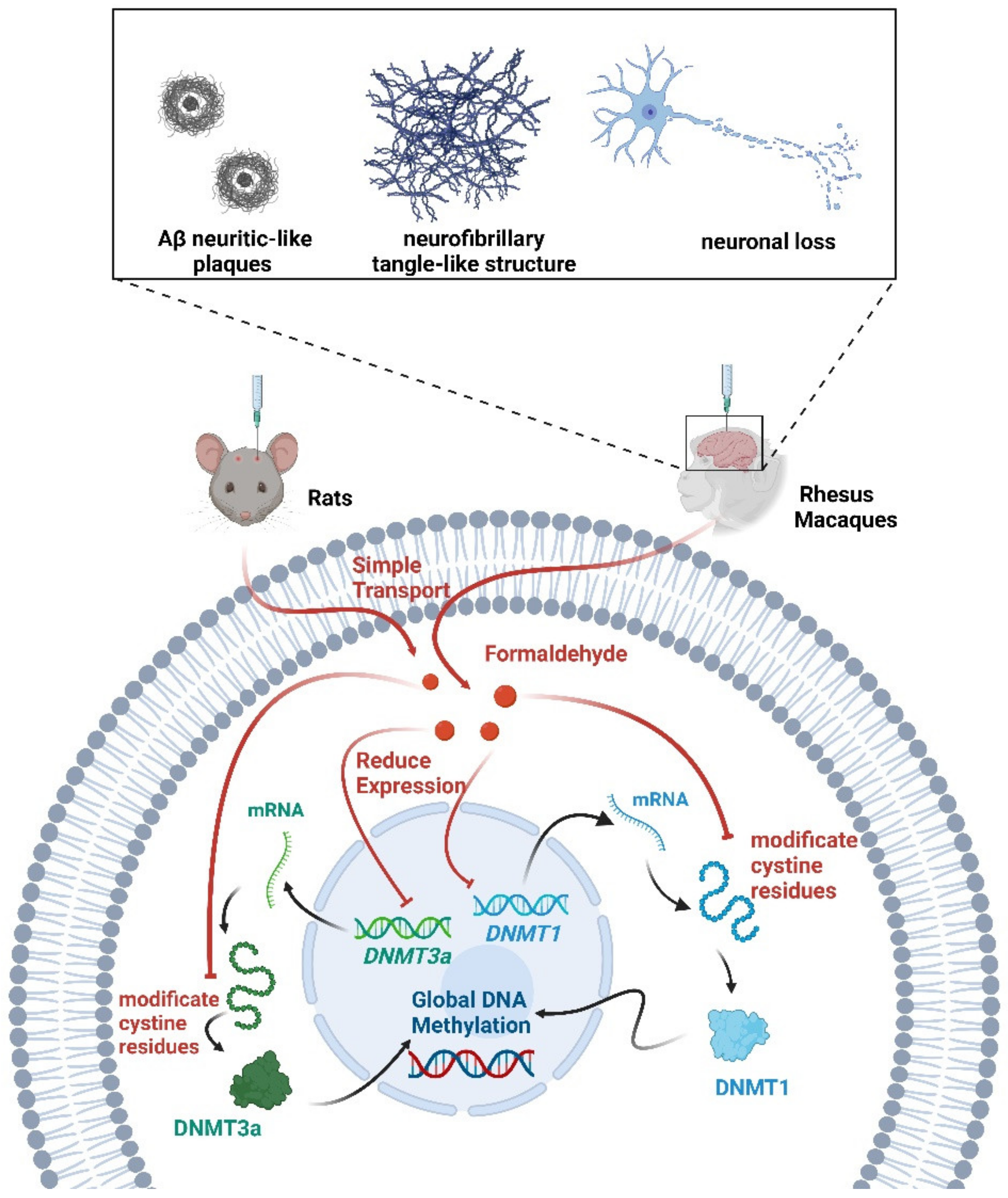 Biology 12 00152 g004