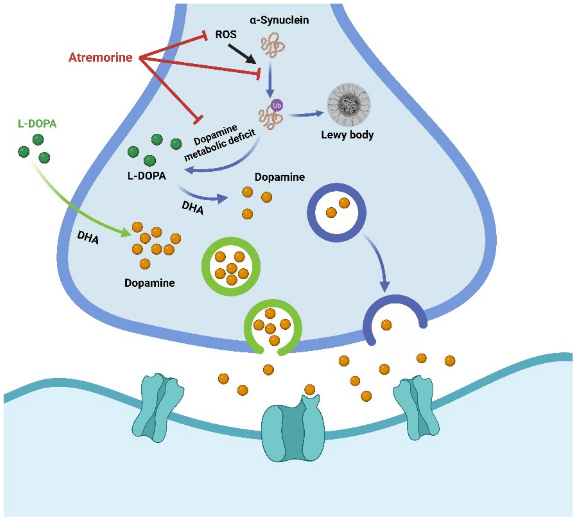 Biology 12 00152 g005