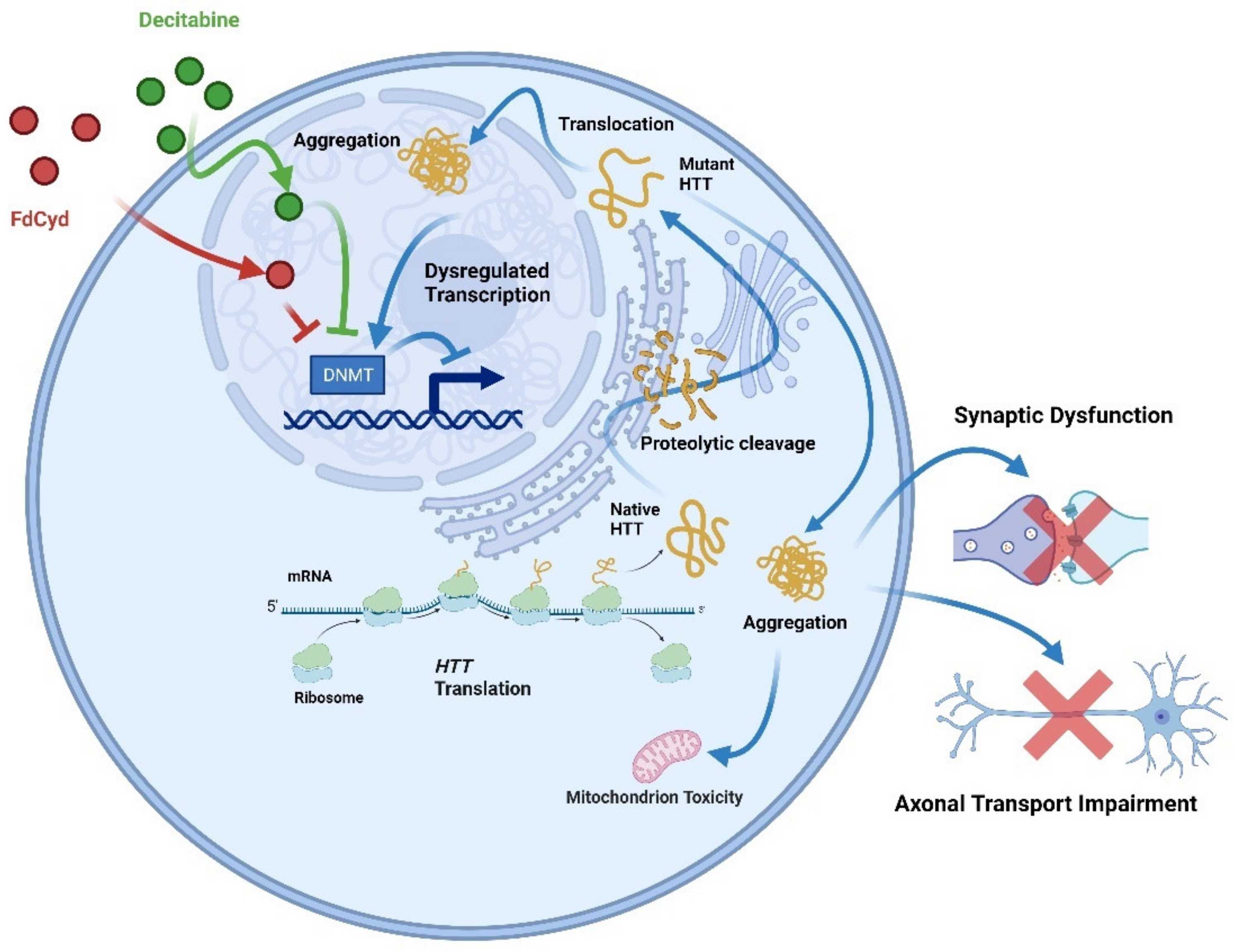 Biology 12 00152 g006