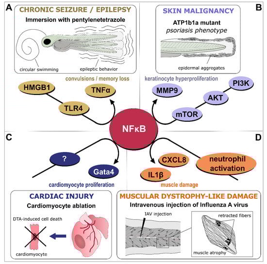 Biology 12 00153 g003