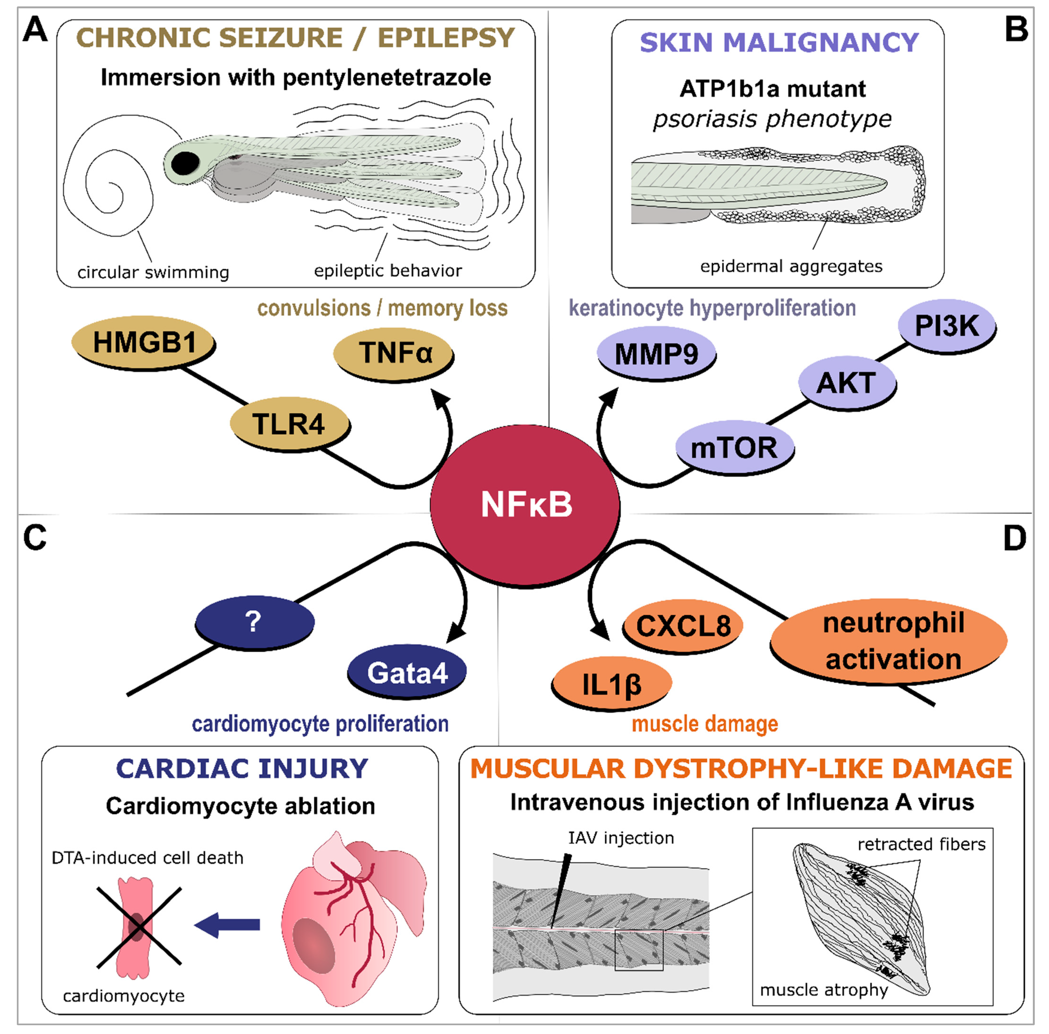 Biology 12 00153 g003