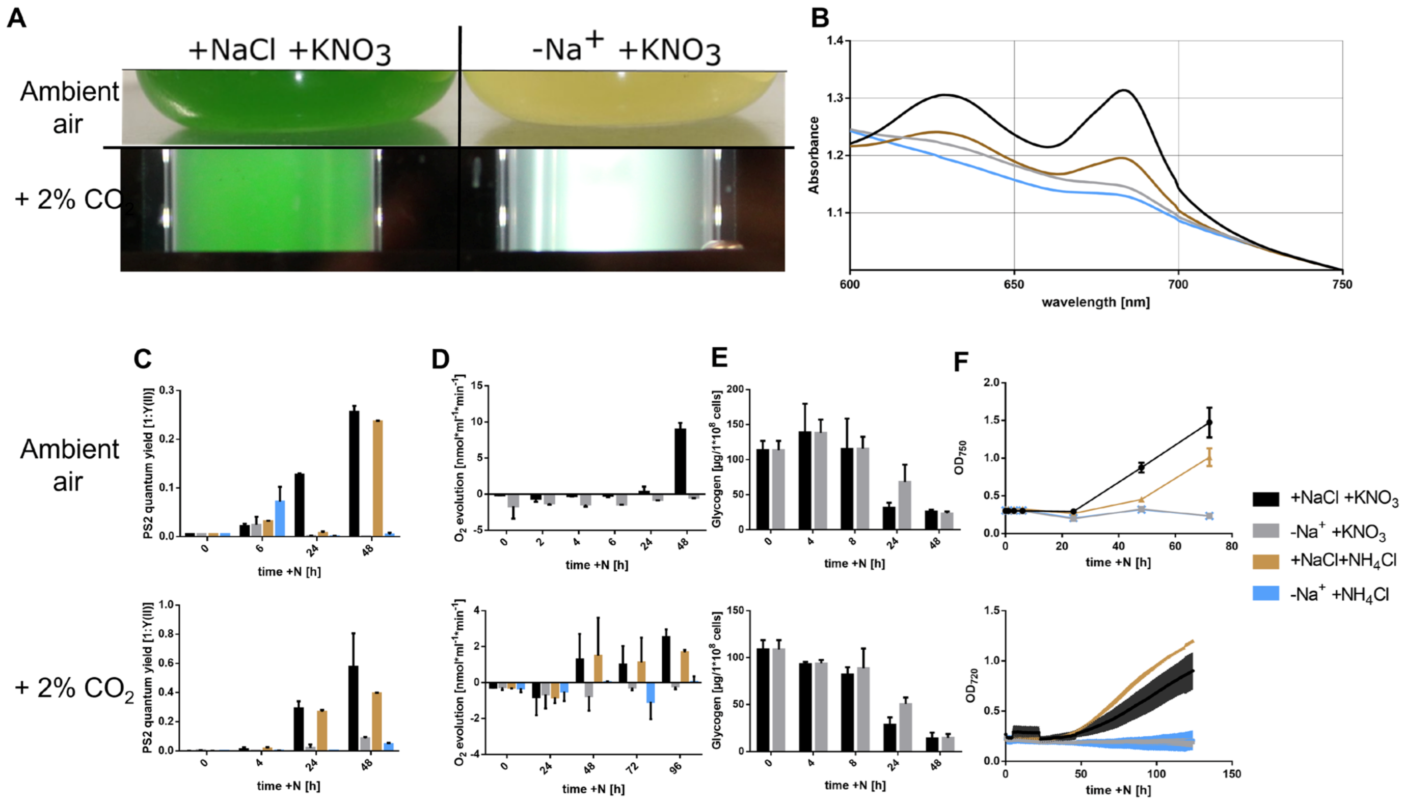 Biology 12 00159 g001