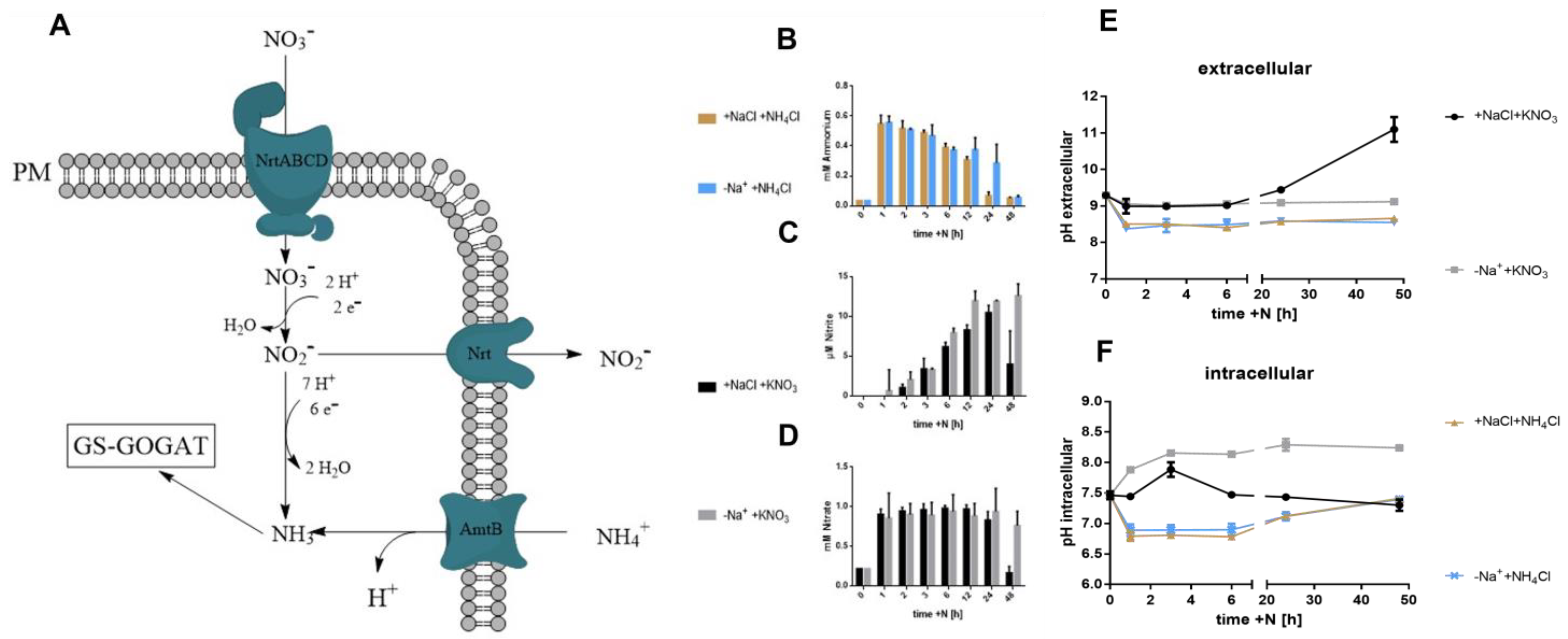 Biology 12 00159 g002