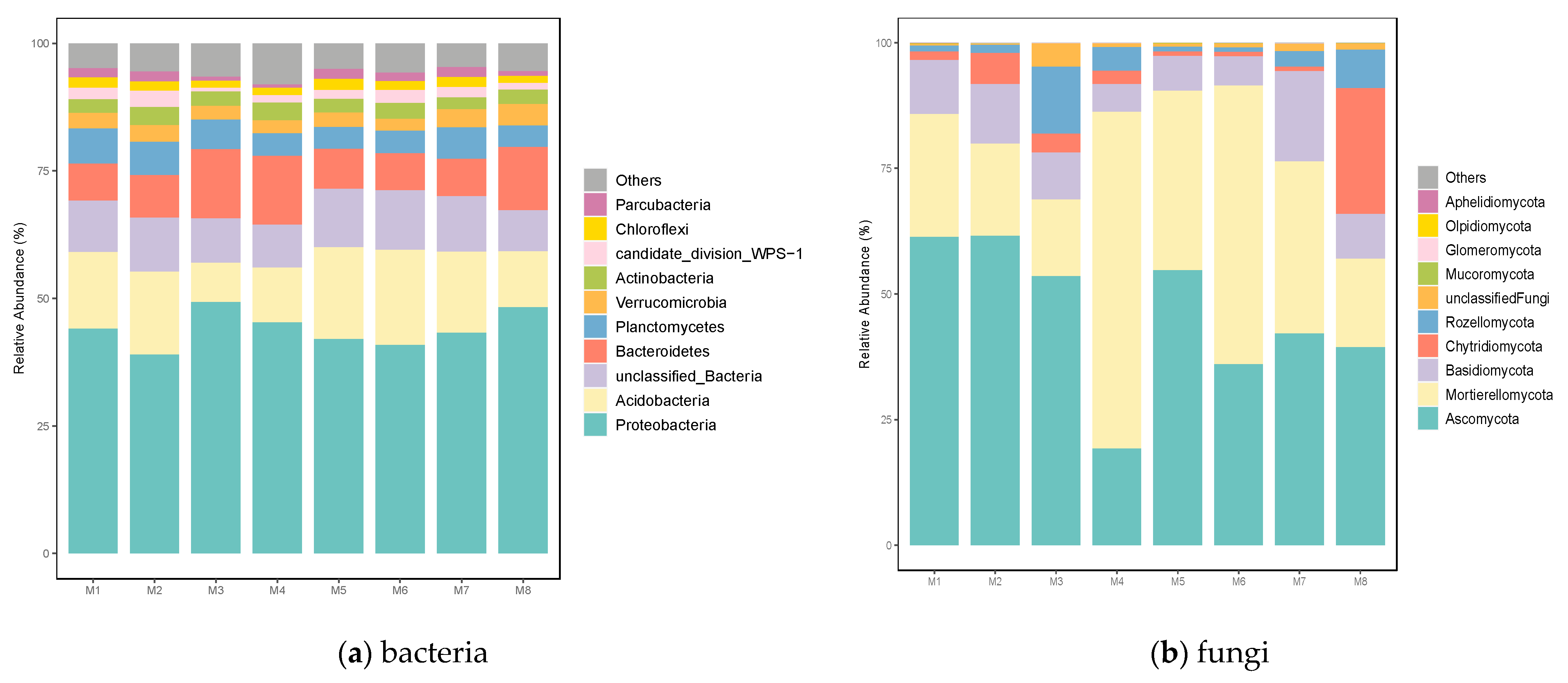 Biology 12 00160 g001