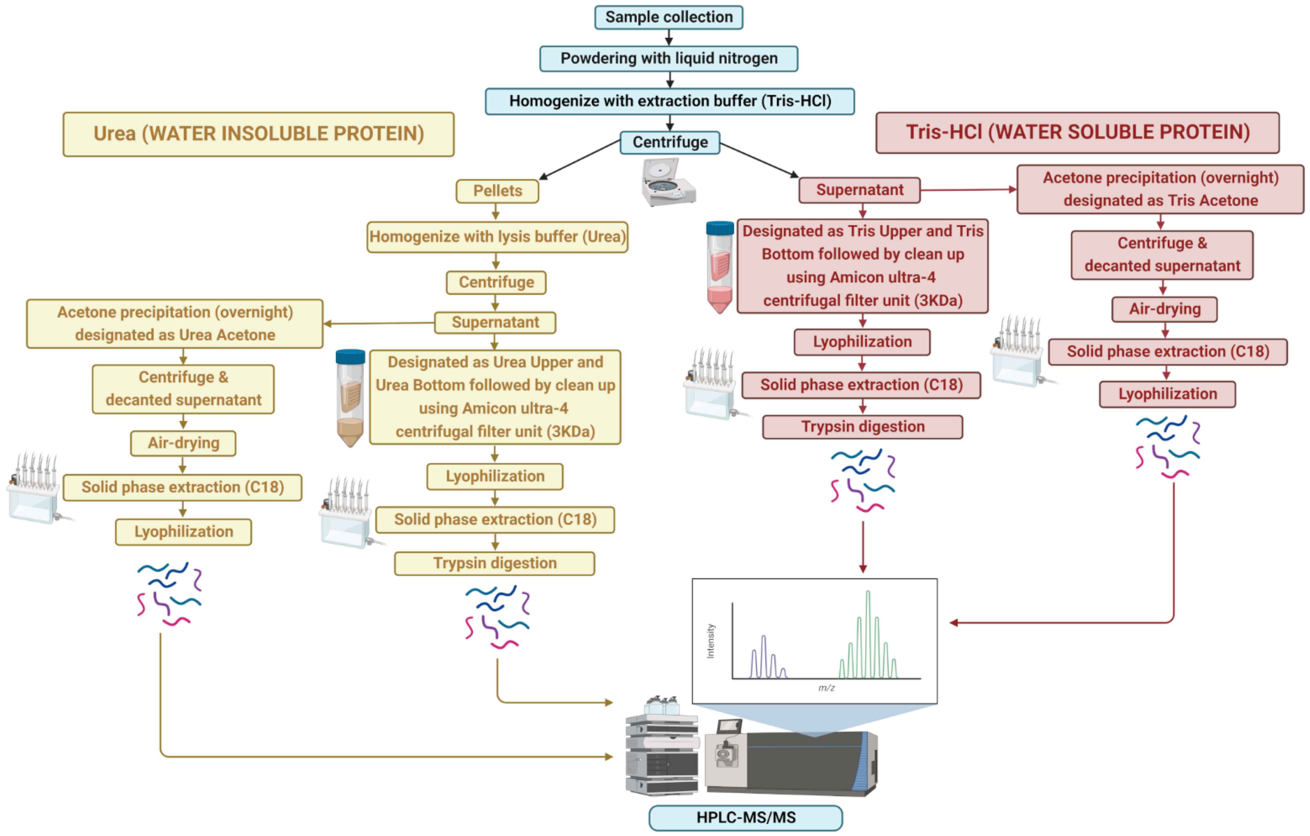 Biology 12 00167 g001