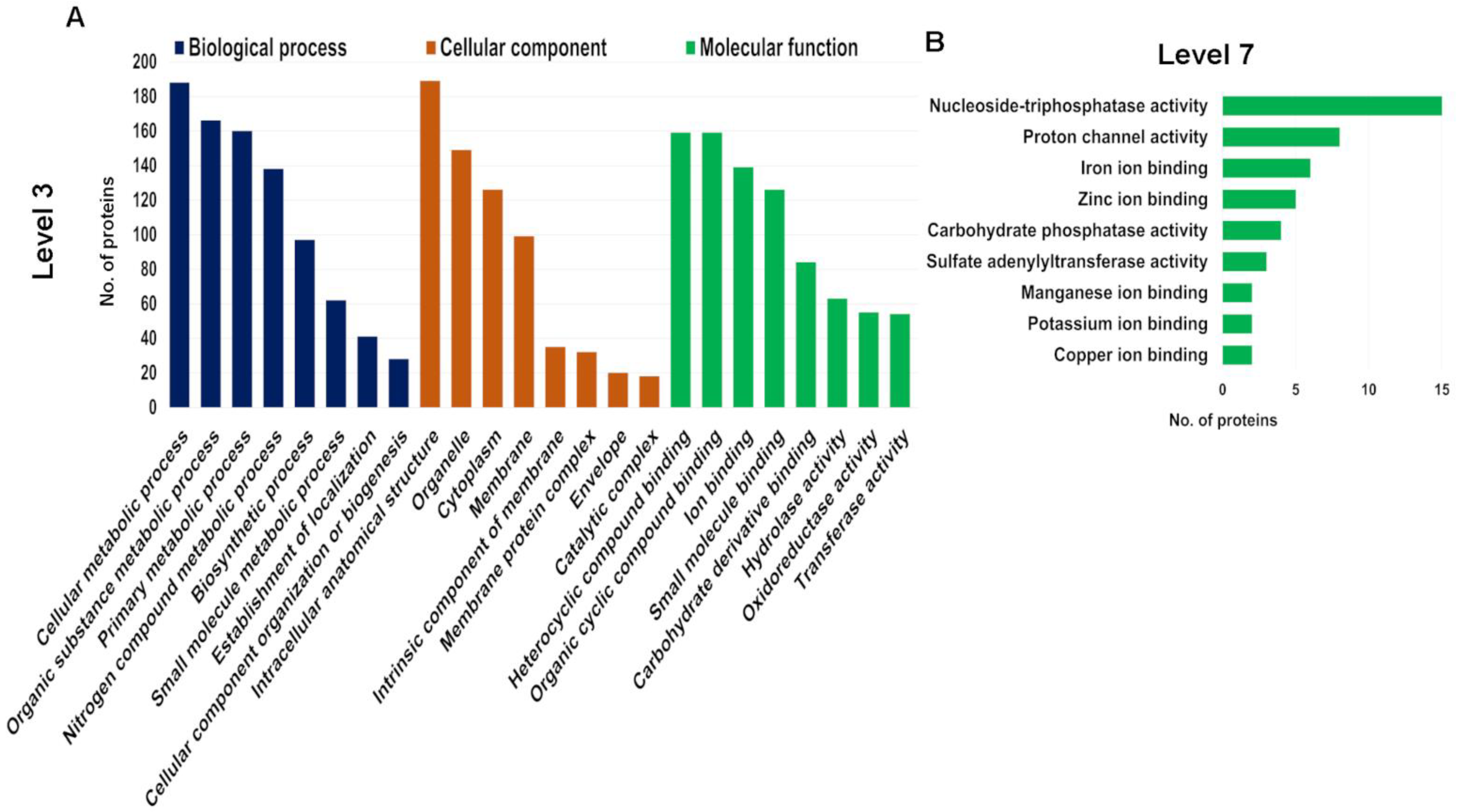 Biology 12 00167 g003