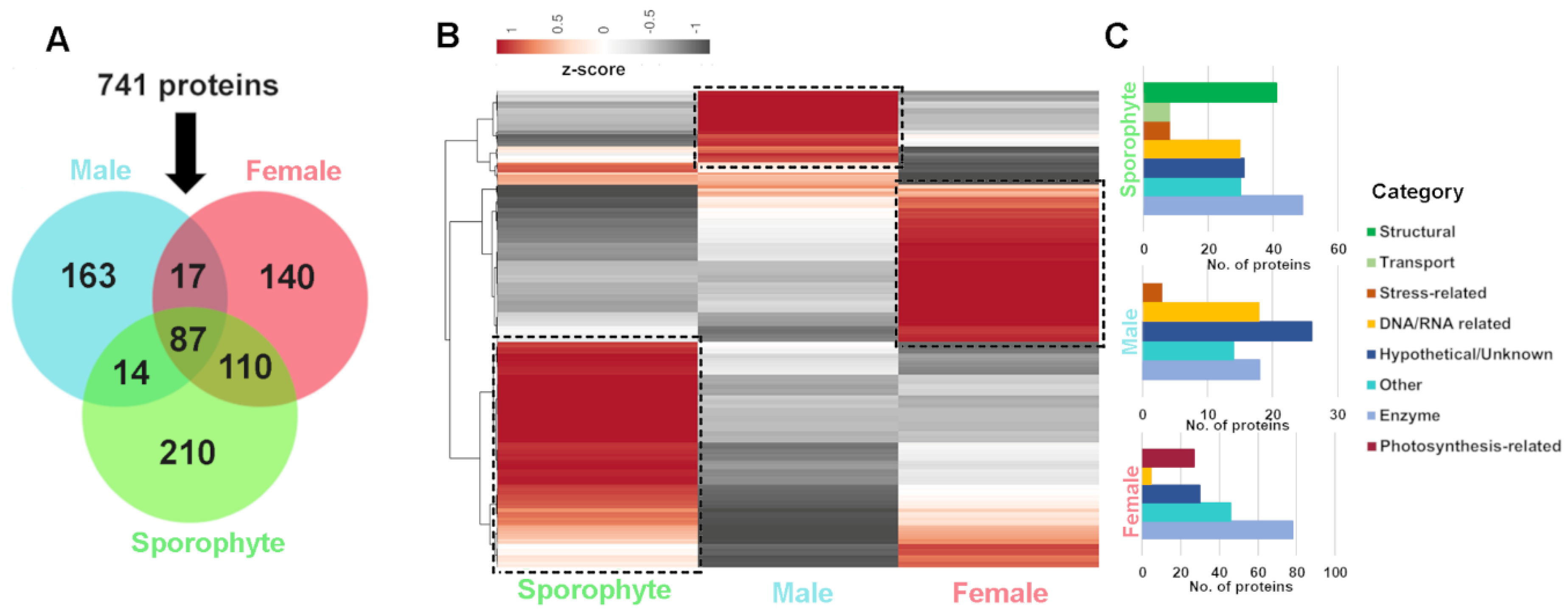 Biology 12 00167 g004