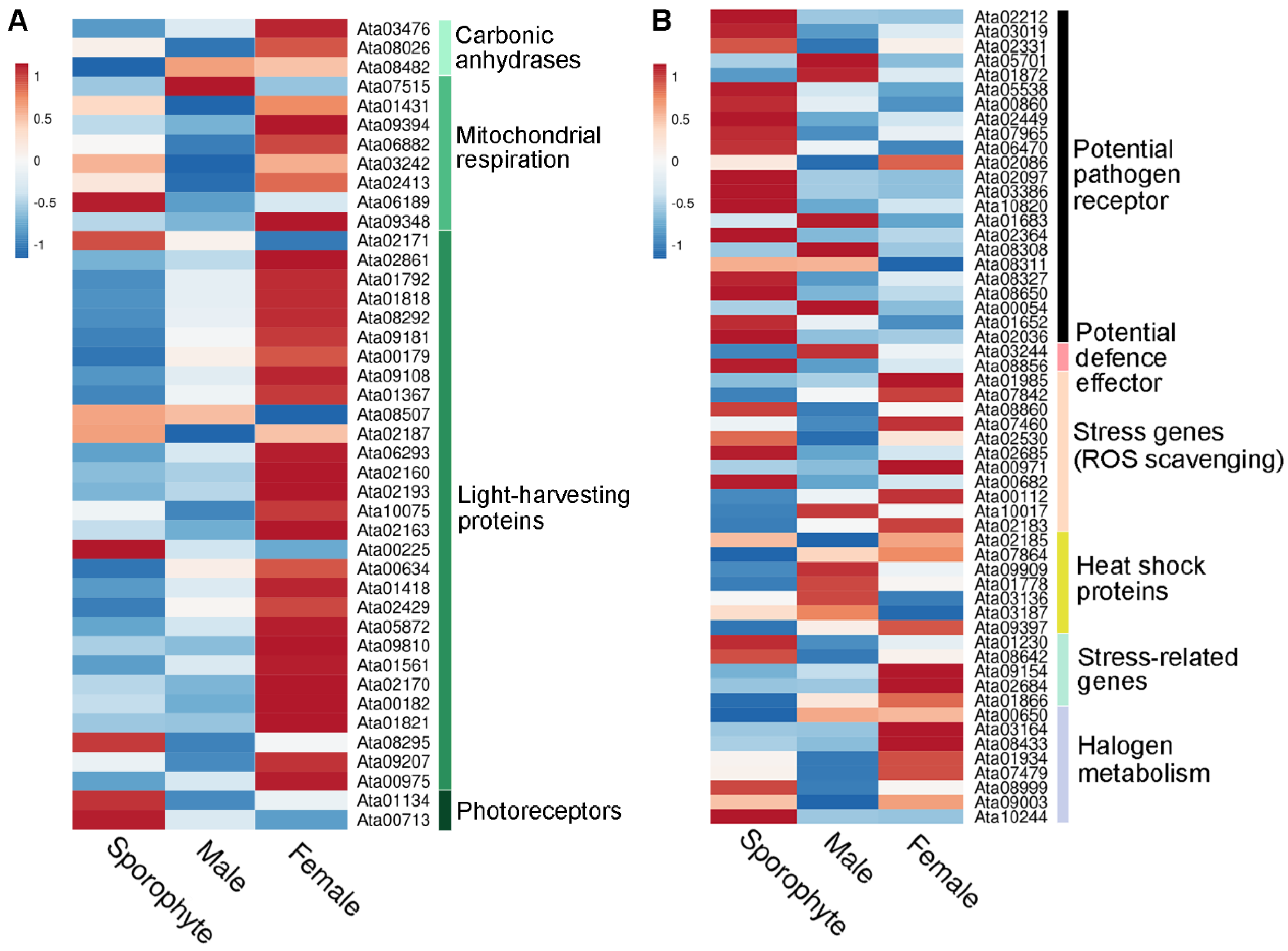 Biology 12 00167 g005