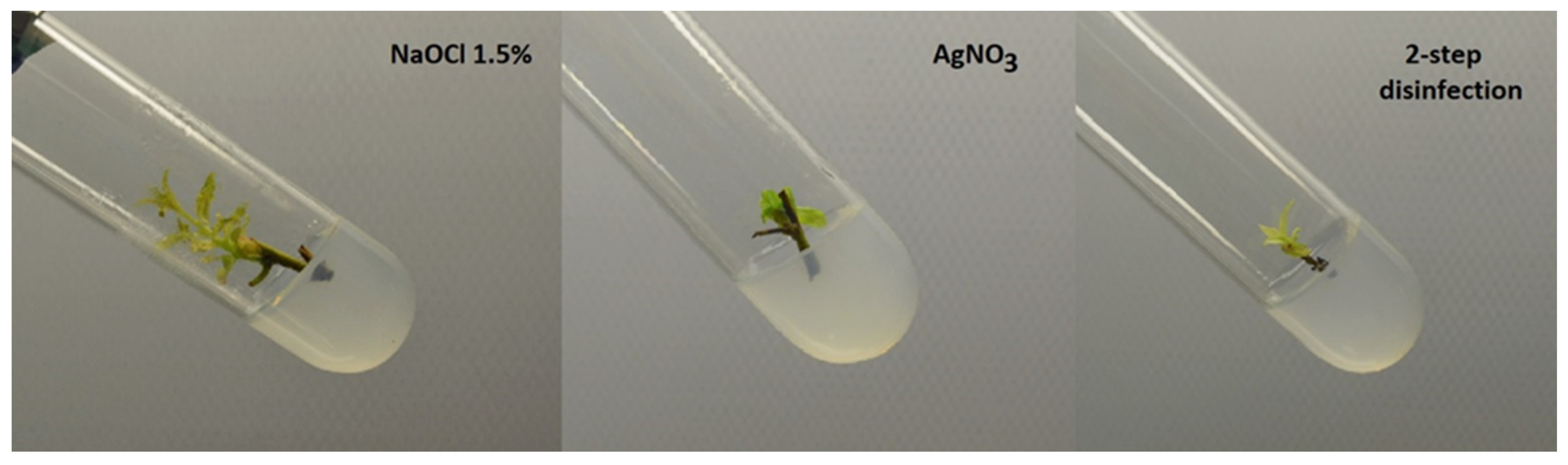 Biology 12 00168 g001 Biology 12 00168 g001