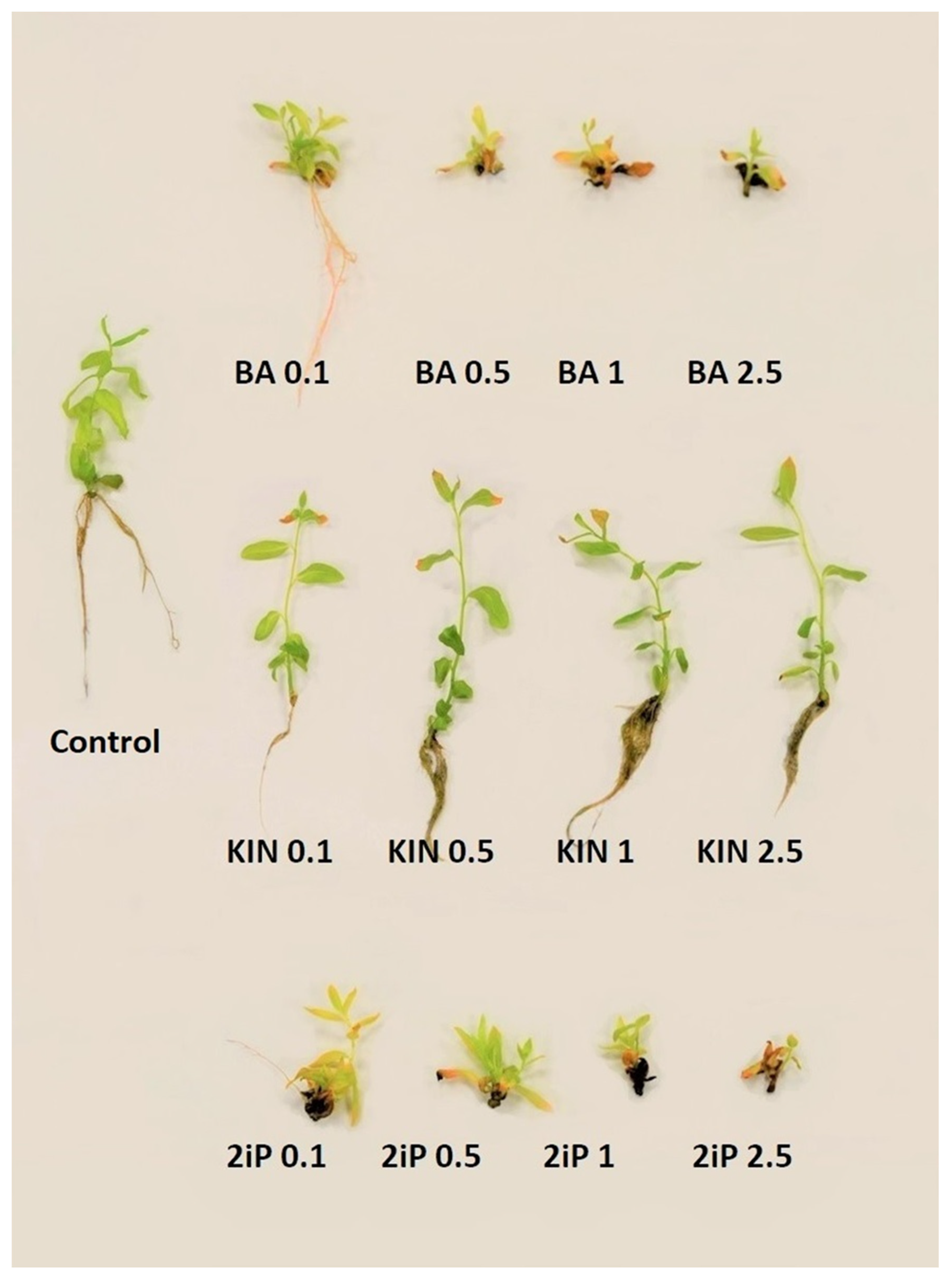 Biology 12 00168 g002 Biology 12 00168 g002