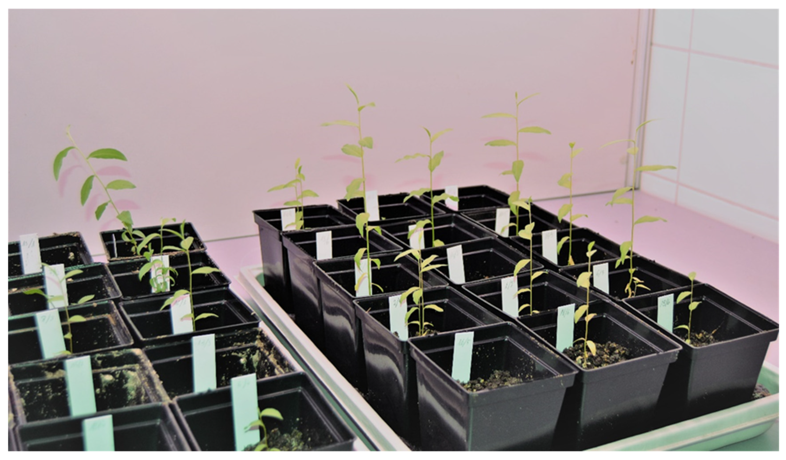 Biology 12 00168 g003 Biology 12 00168 g003