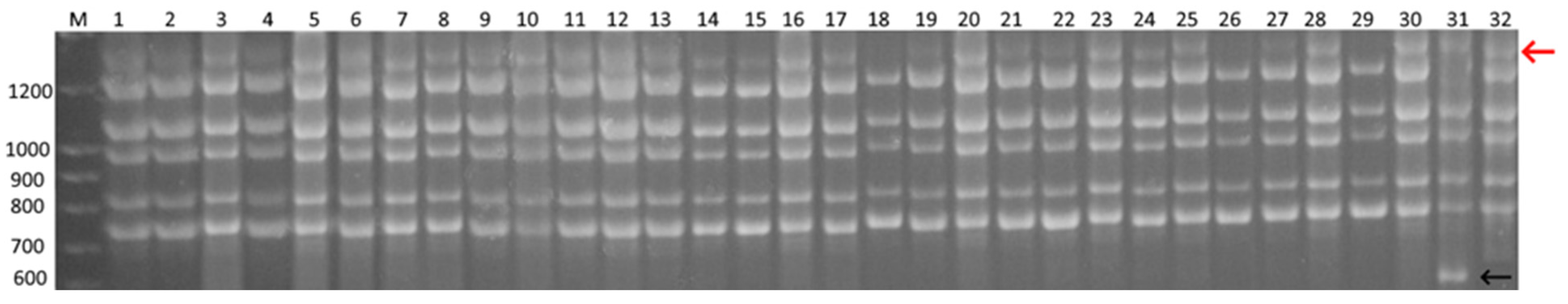 Biology 12 00168 g004 Biology 12 00168 g004