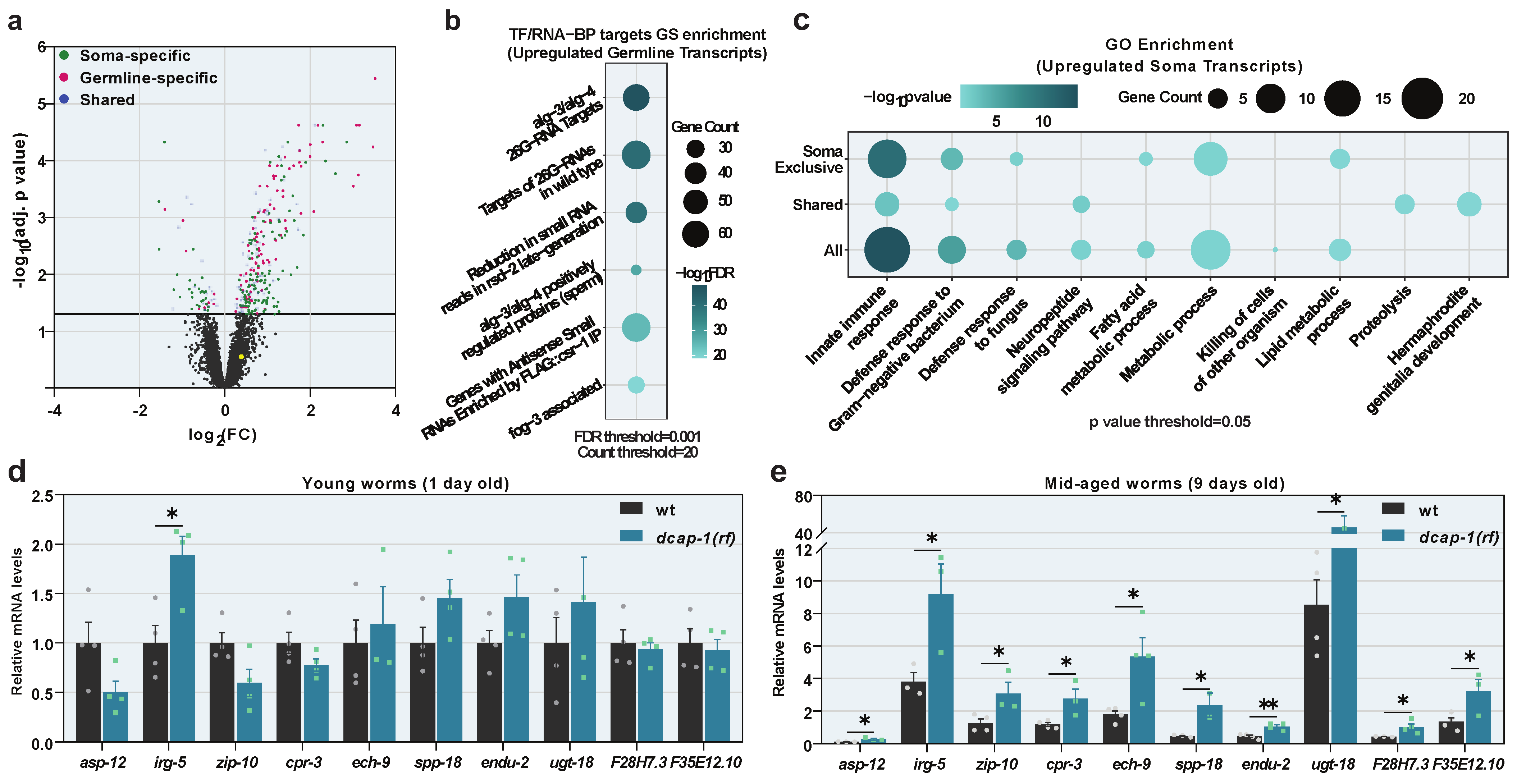 Biology 12 00171 g001