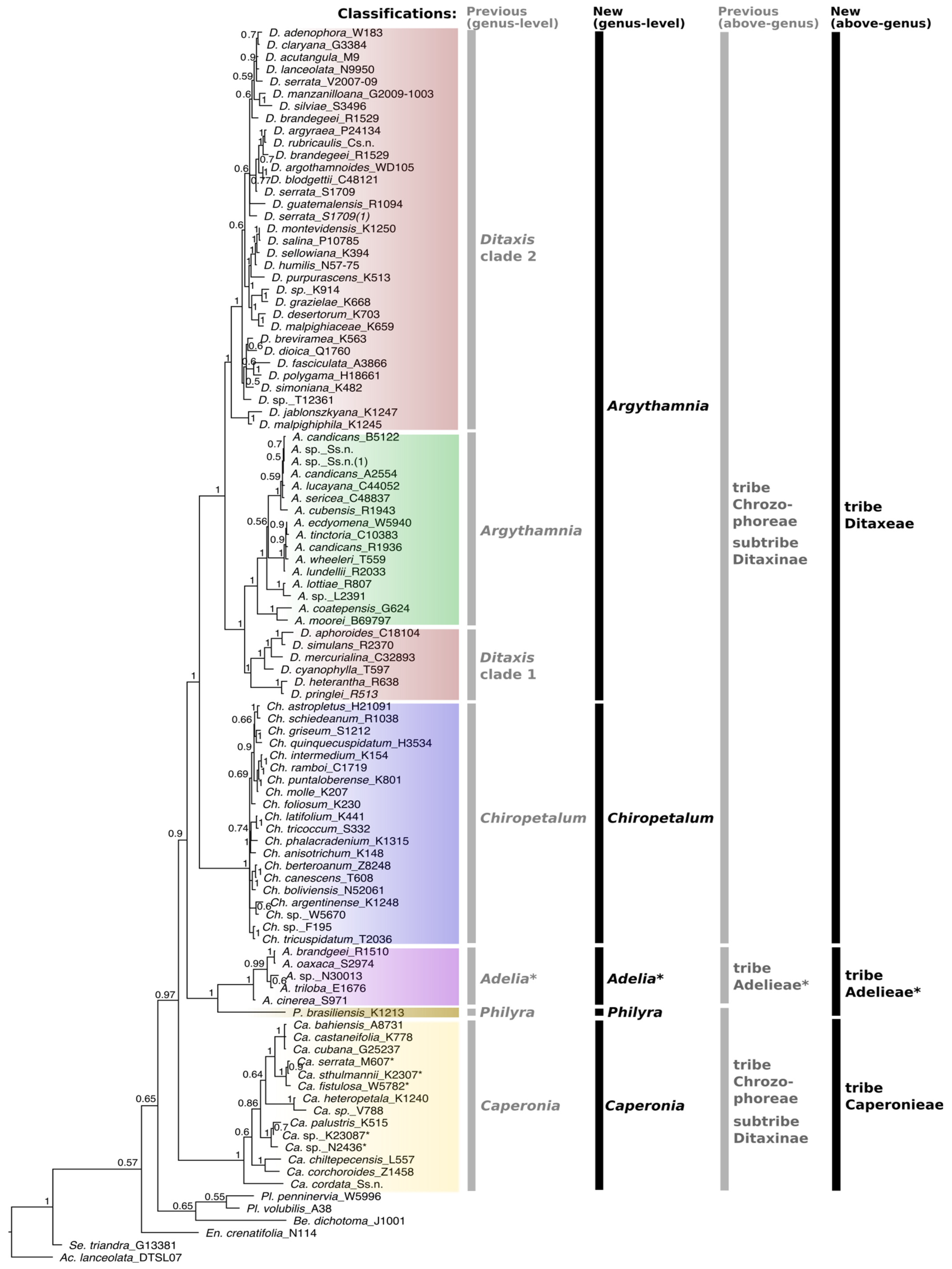 Biology 12 00173 g001 Biology 12 00173 g001