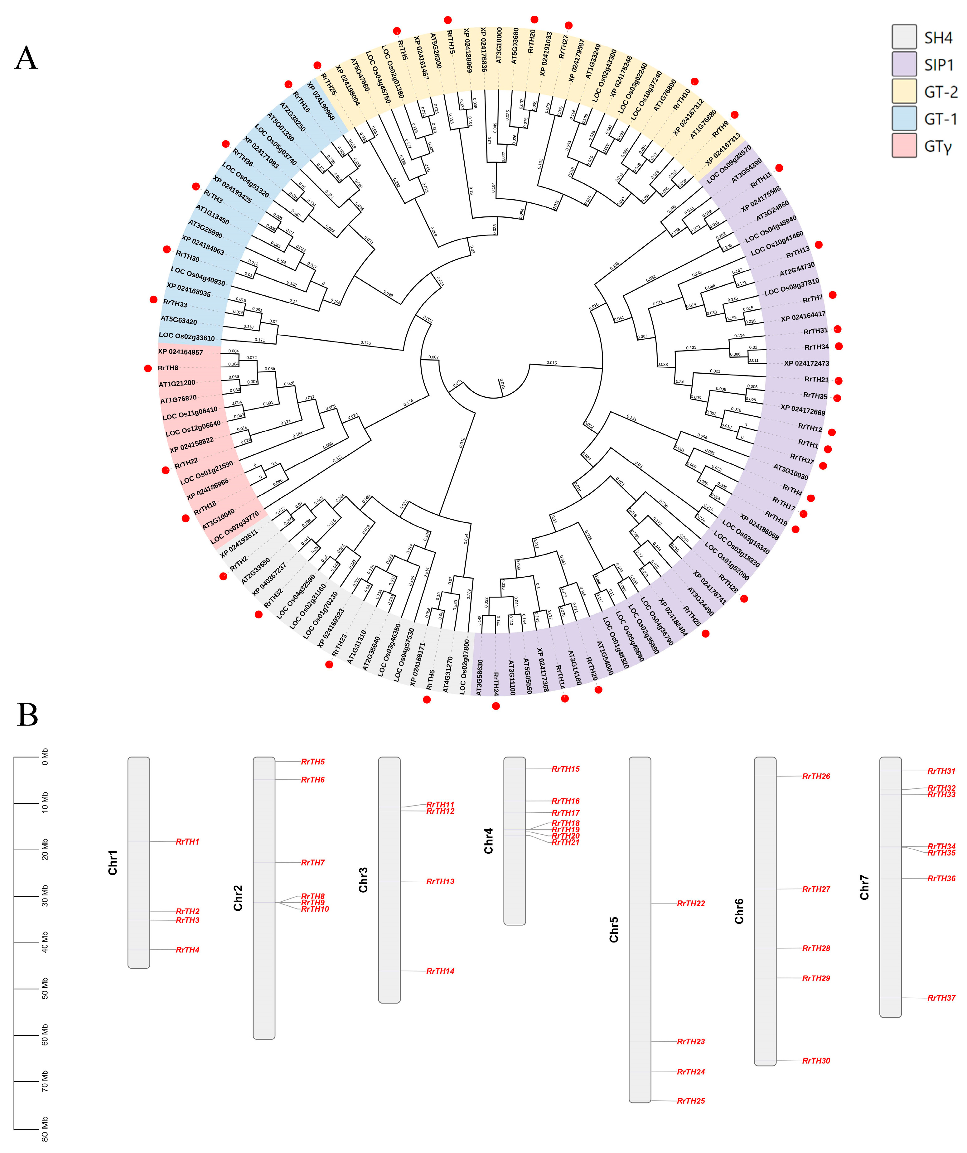 Biology 12 00176 g001