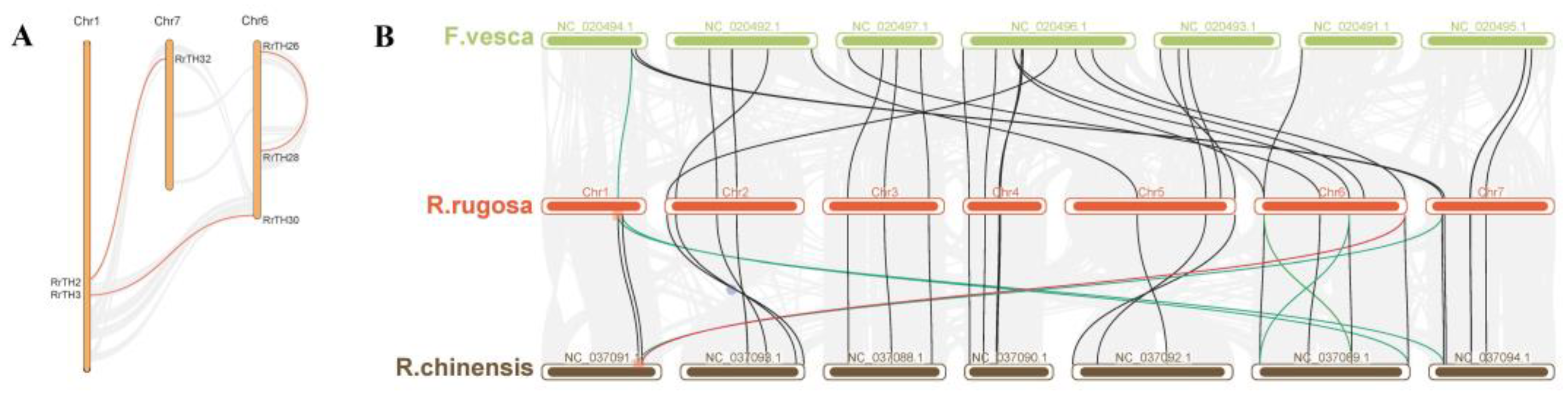 Biology 12 00176 g002