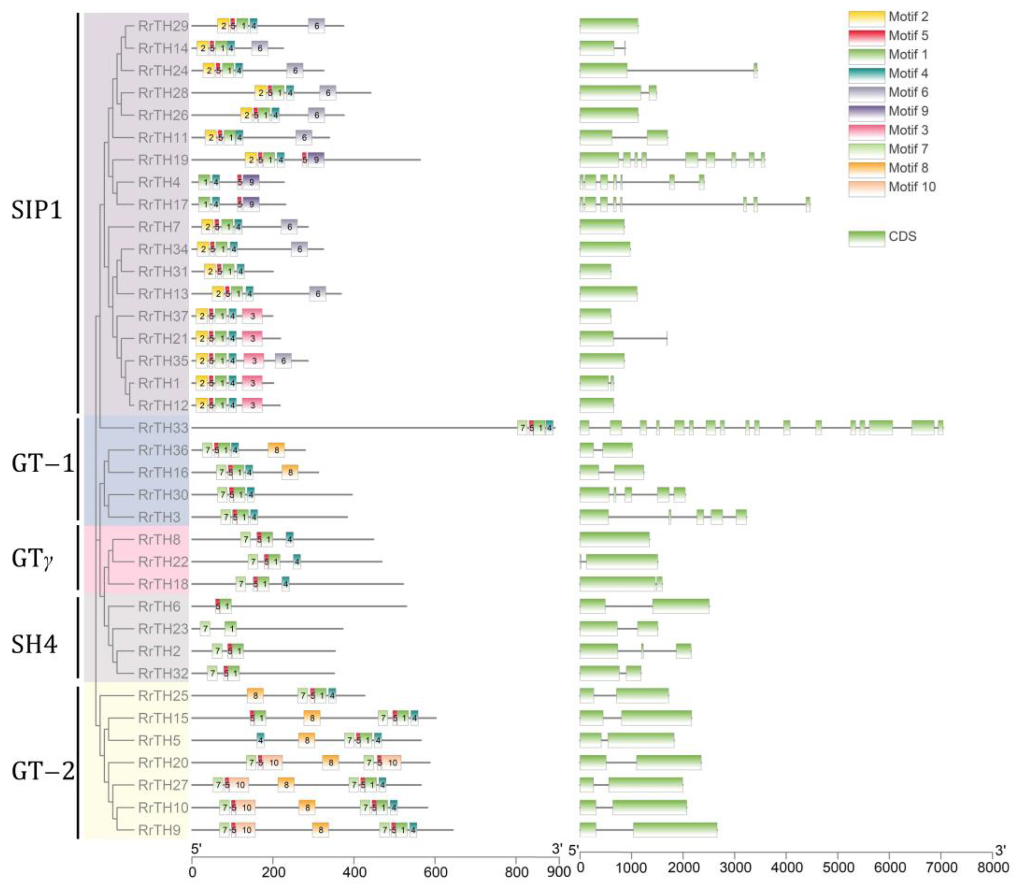 Biology 12 00176 g003