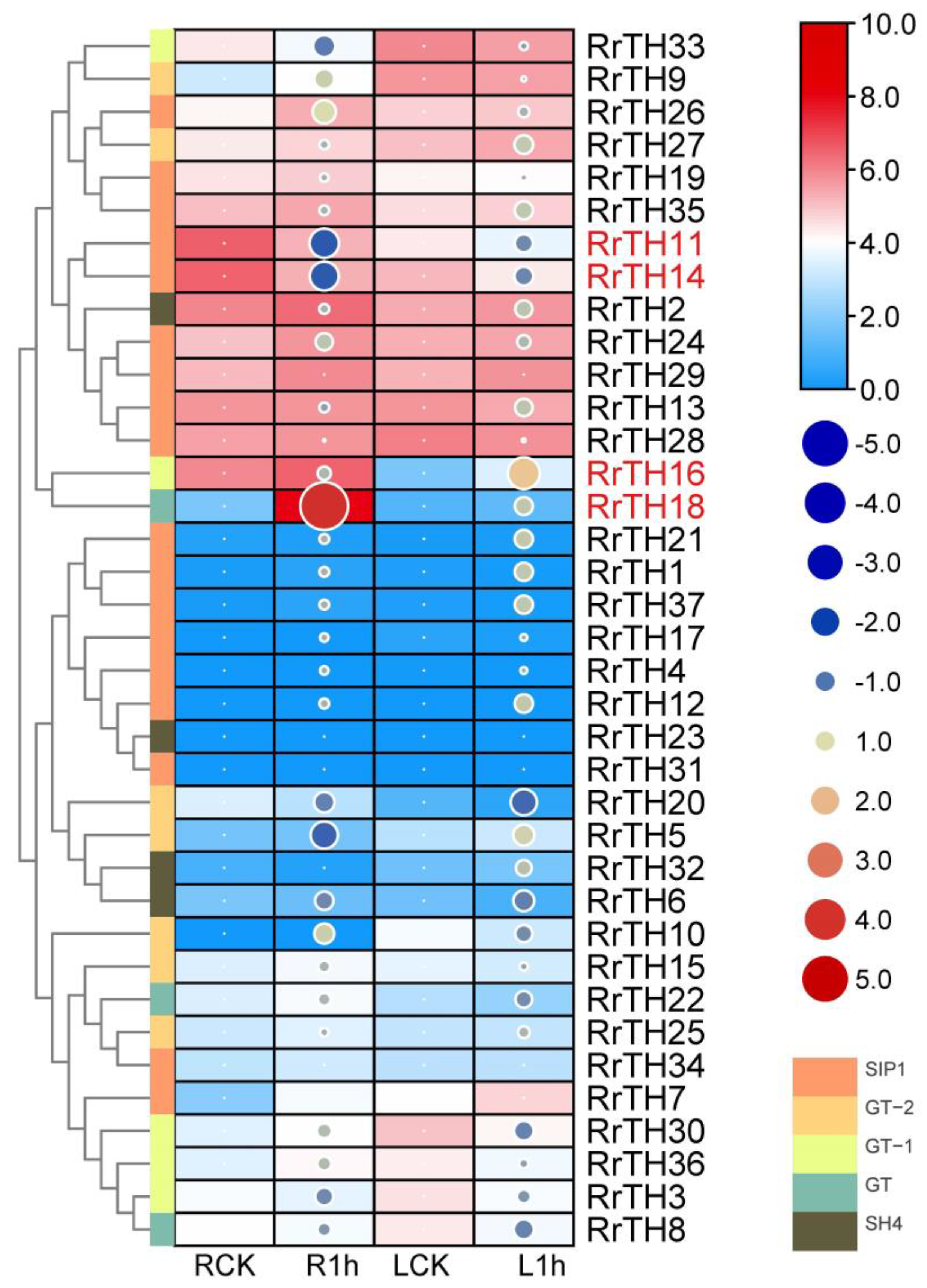 Biology 12 00176 g004