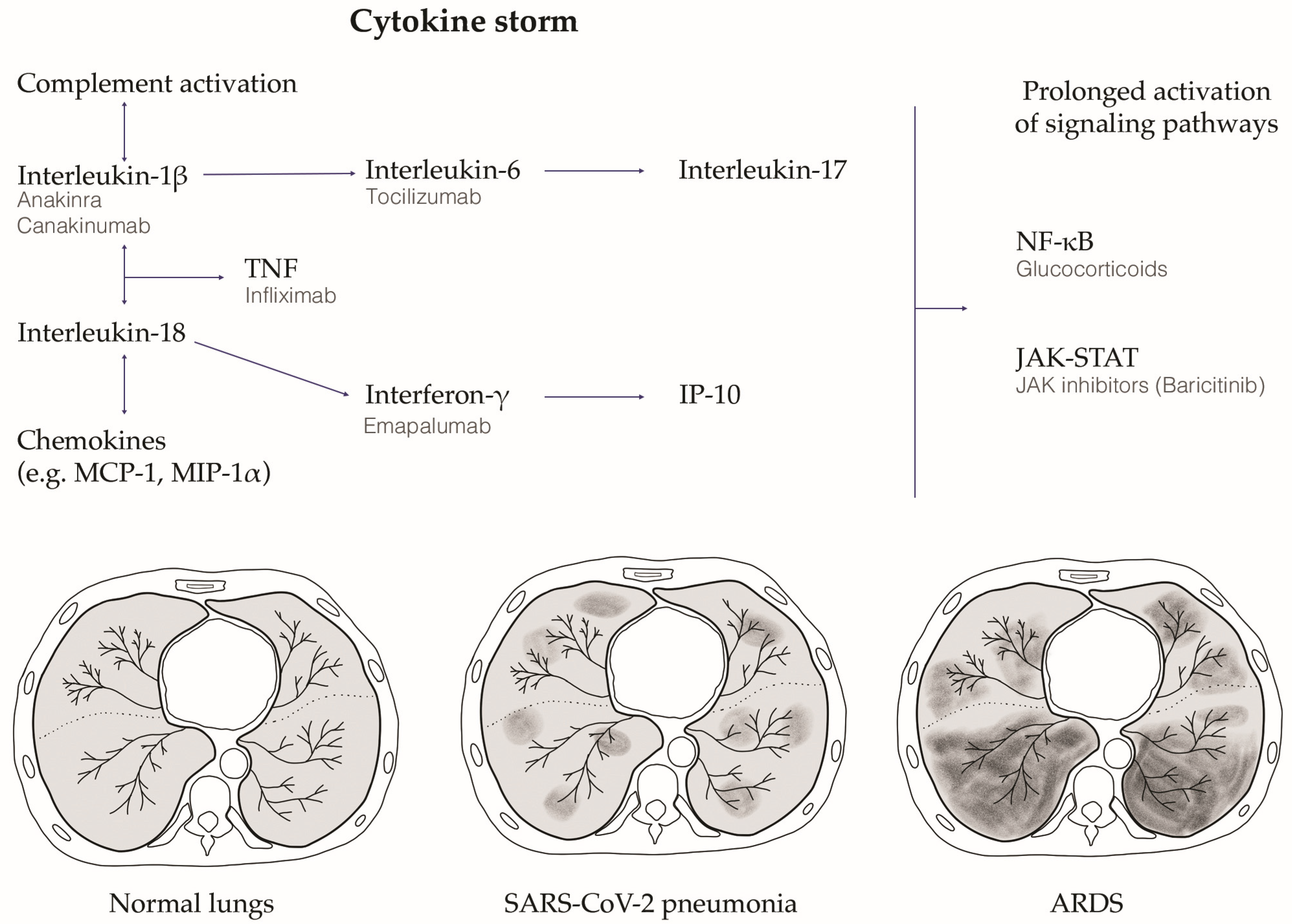 Biology 12 00177 g002