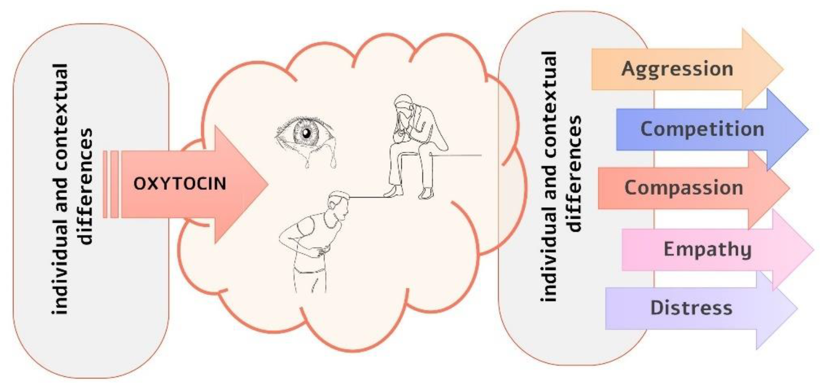 Biology 12 00183 g001
