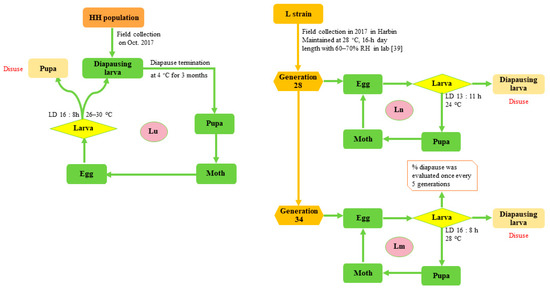 Biology 12 00187 g0a1