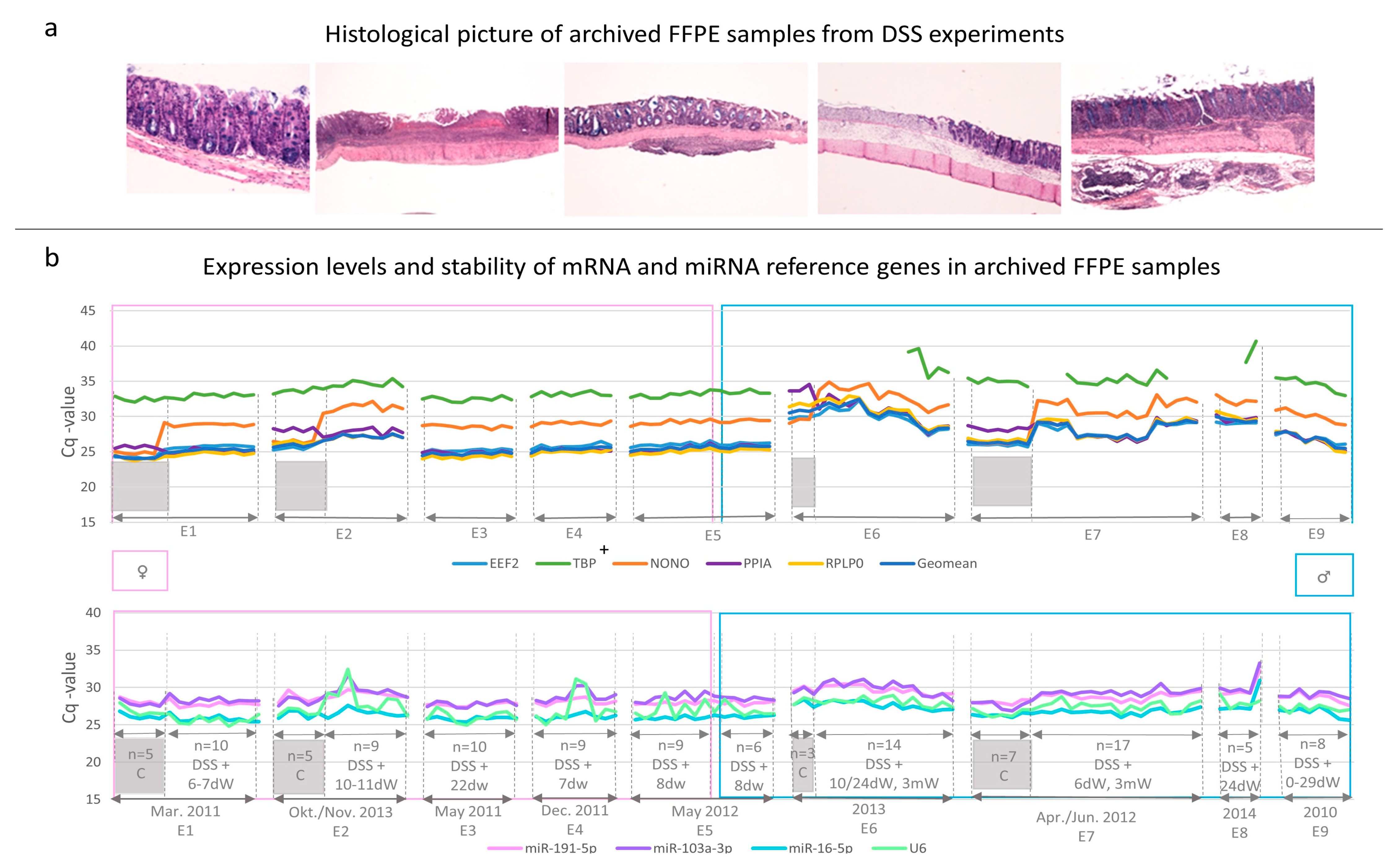 Biology 12 00190 g001