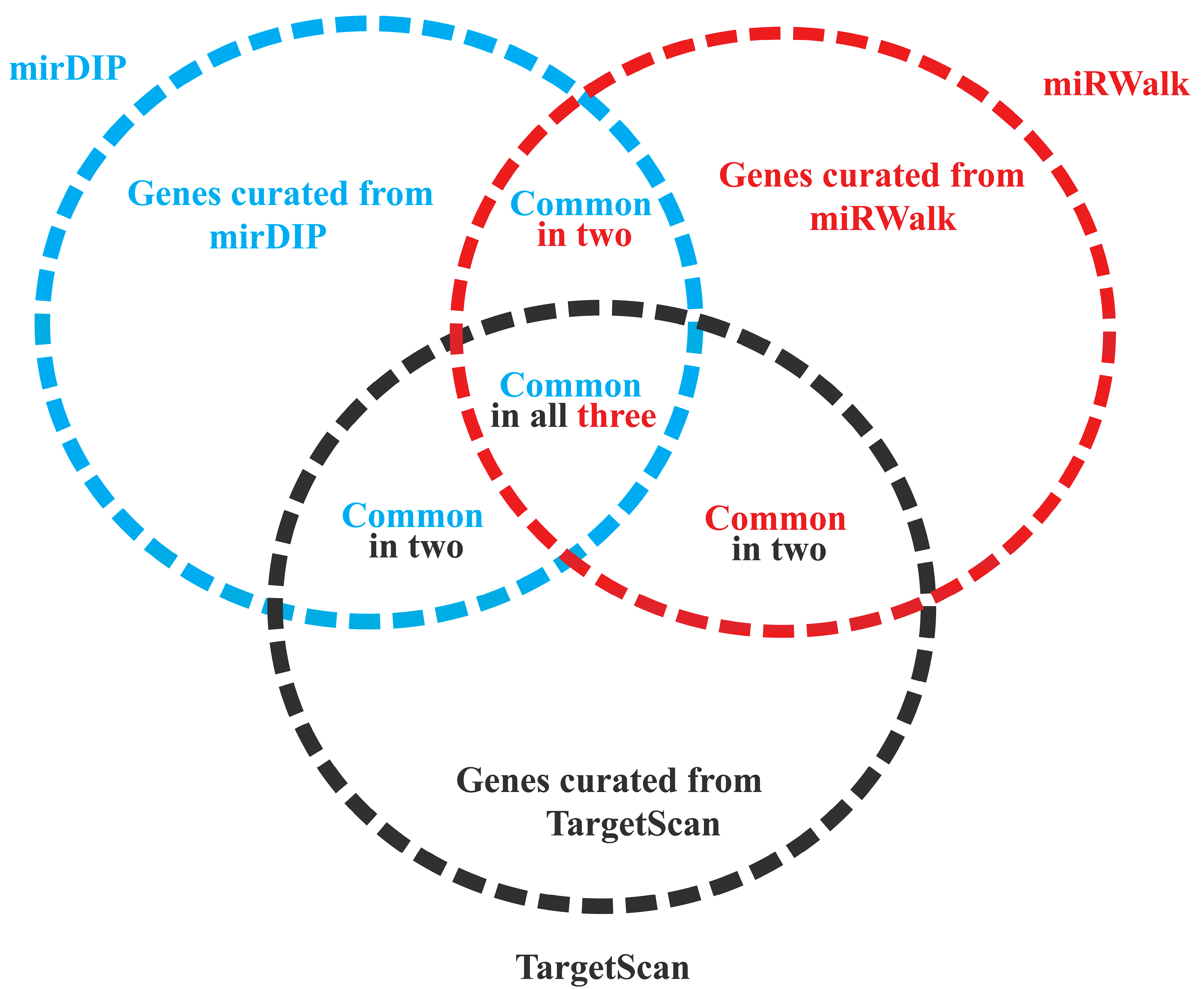 Biology 12 00192 g001
