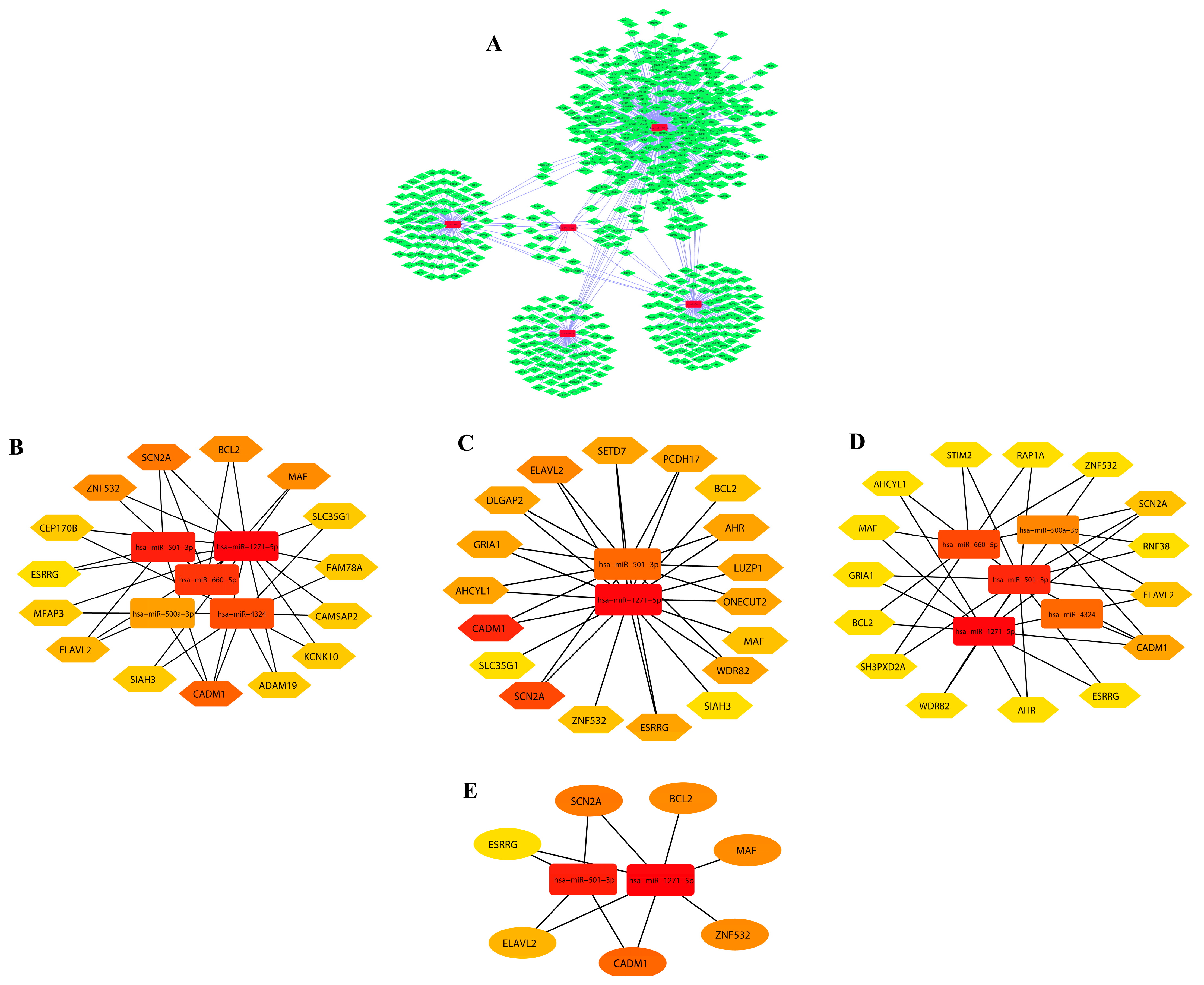Biology 12 00192 g002