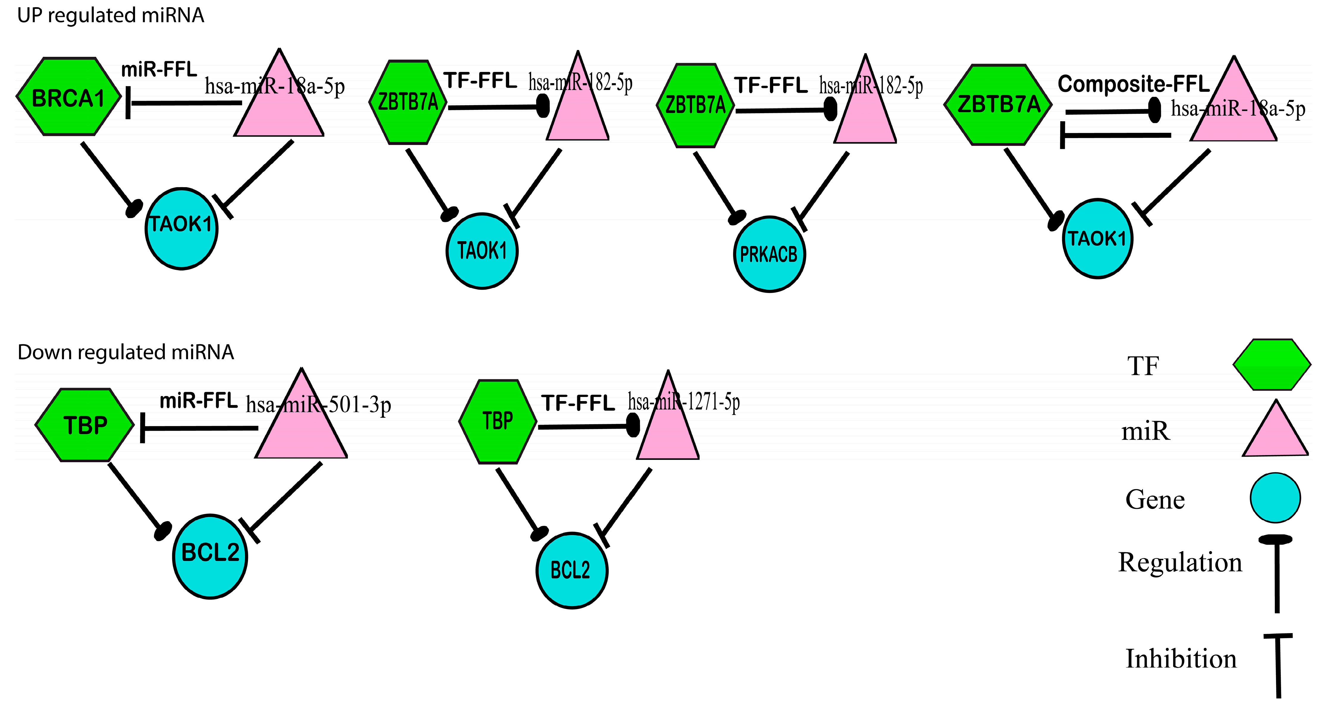 Biology 12 00192 g007
