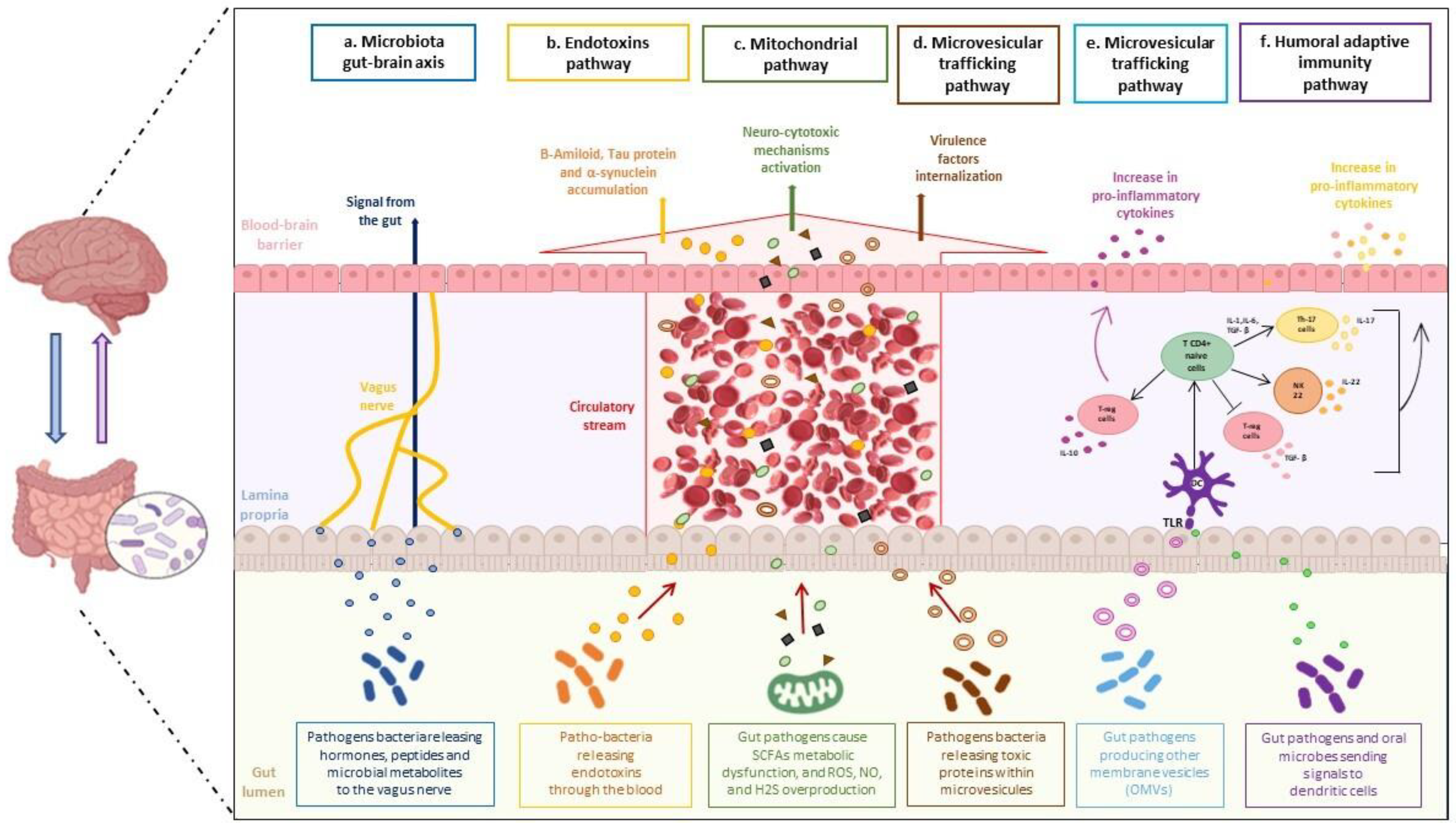 Biology 12 00195 g001