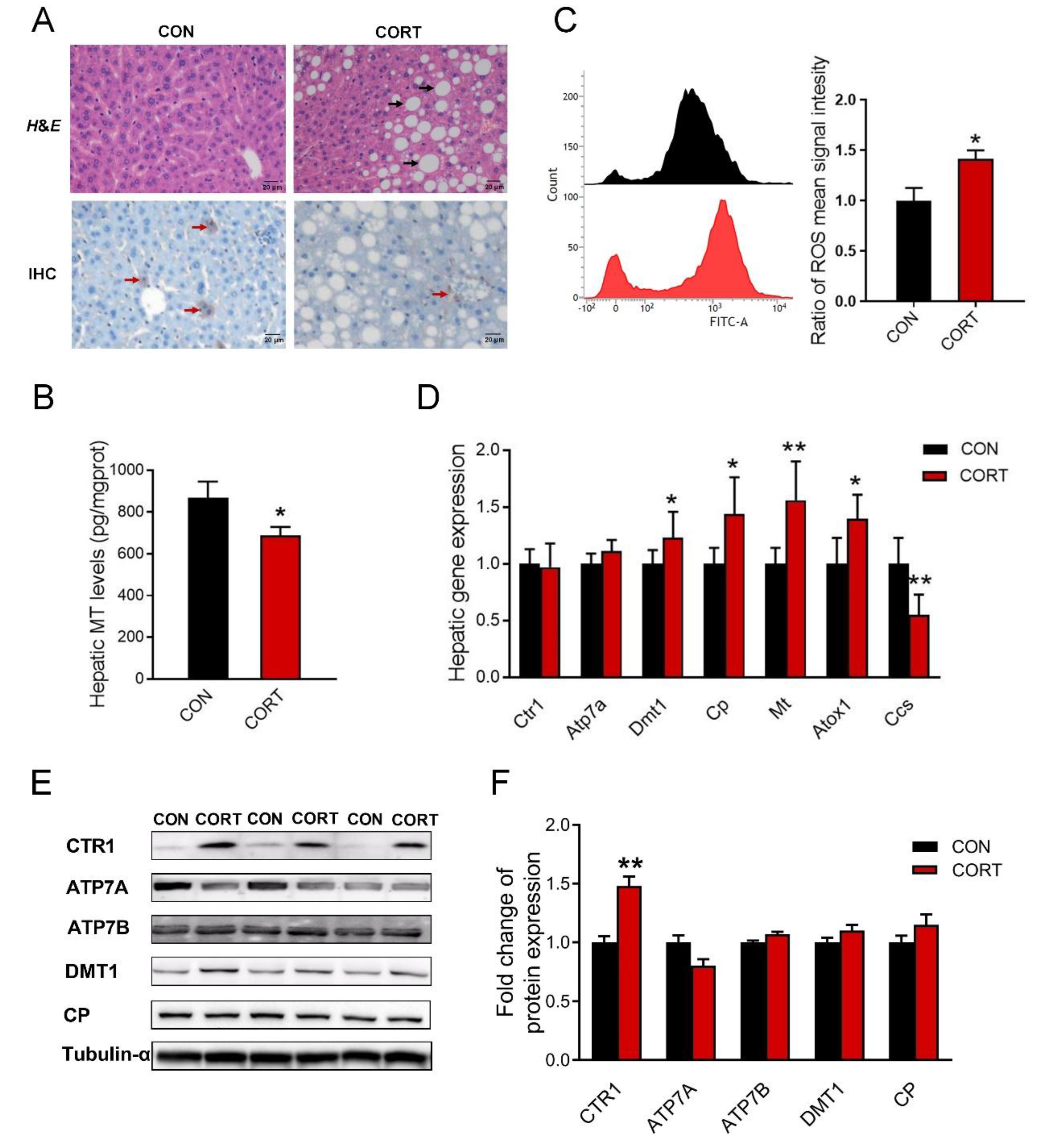 Biology 12 00197 g003