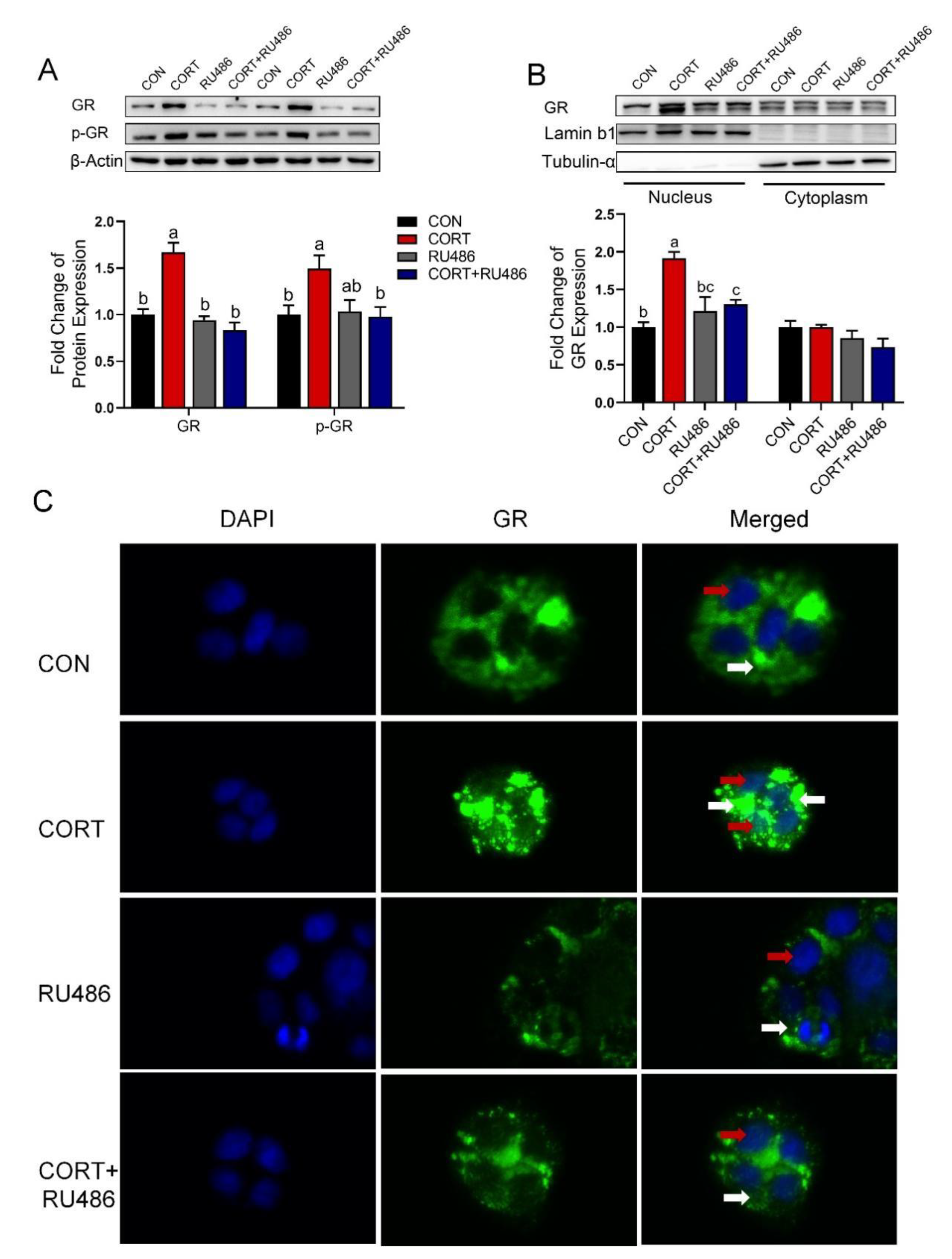 Biology 12 00197 g005