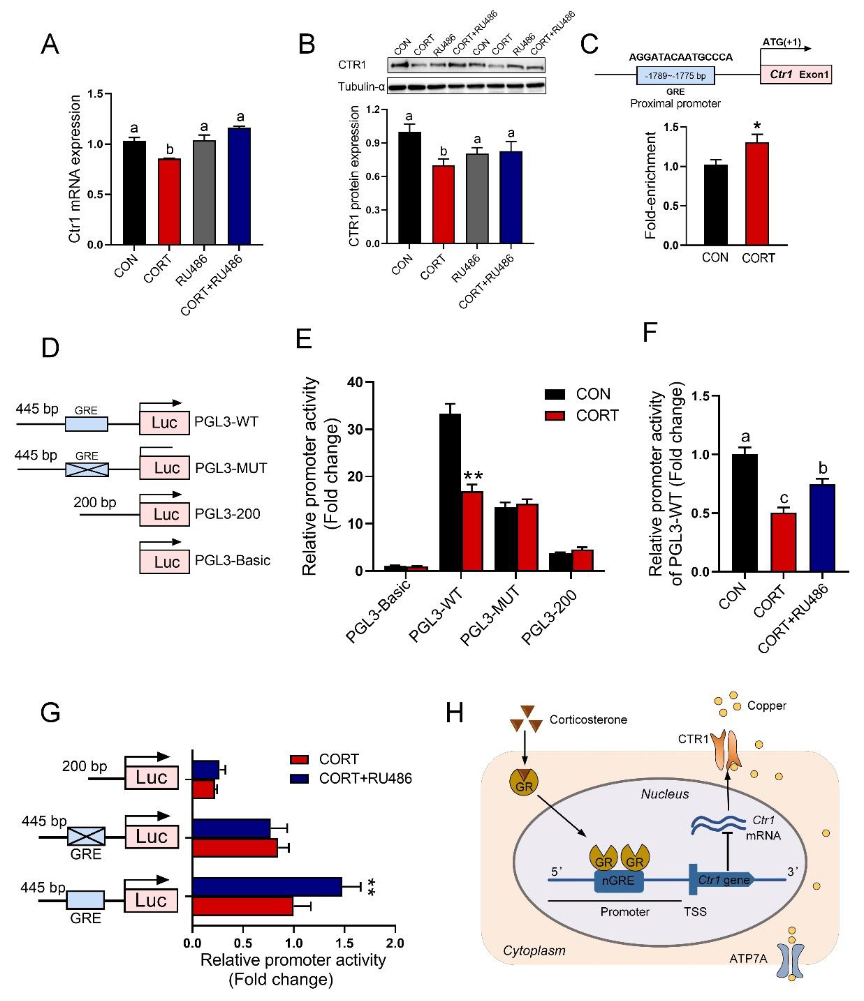 Biology 12 00197 g006