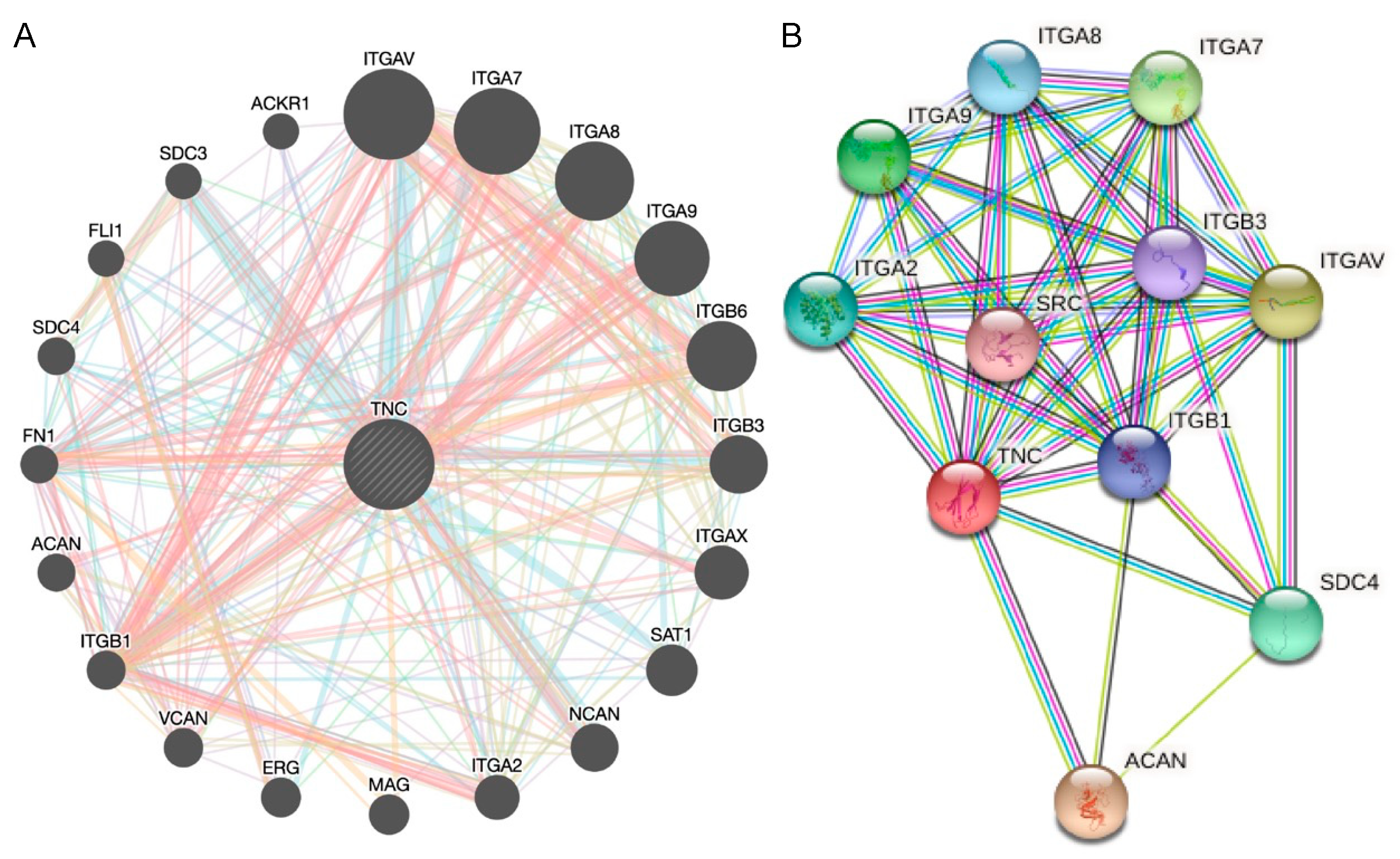 Biology 12 00199 g007