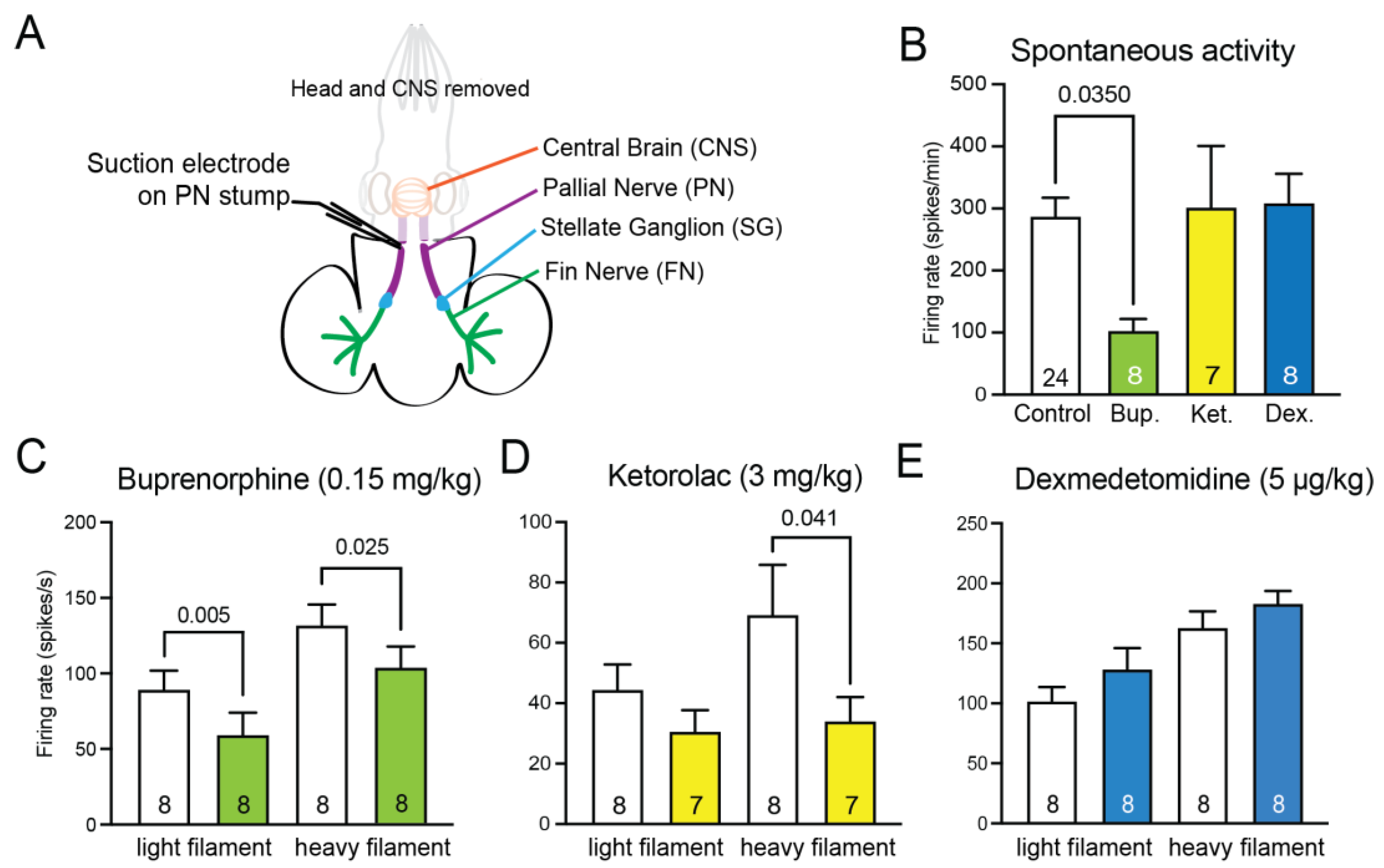 Biology 12 00201 g003