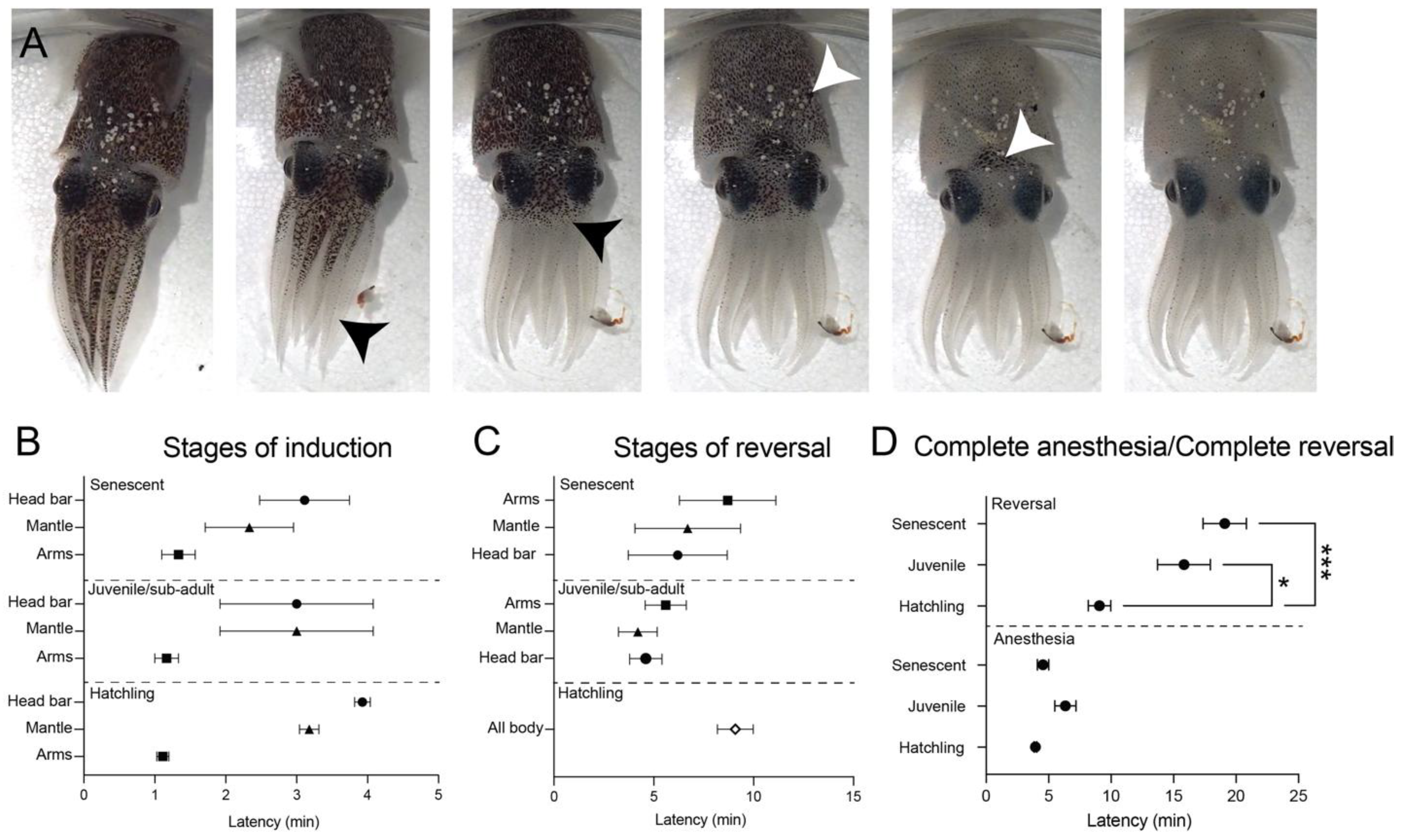 Biology 12 00201 g006