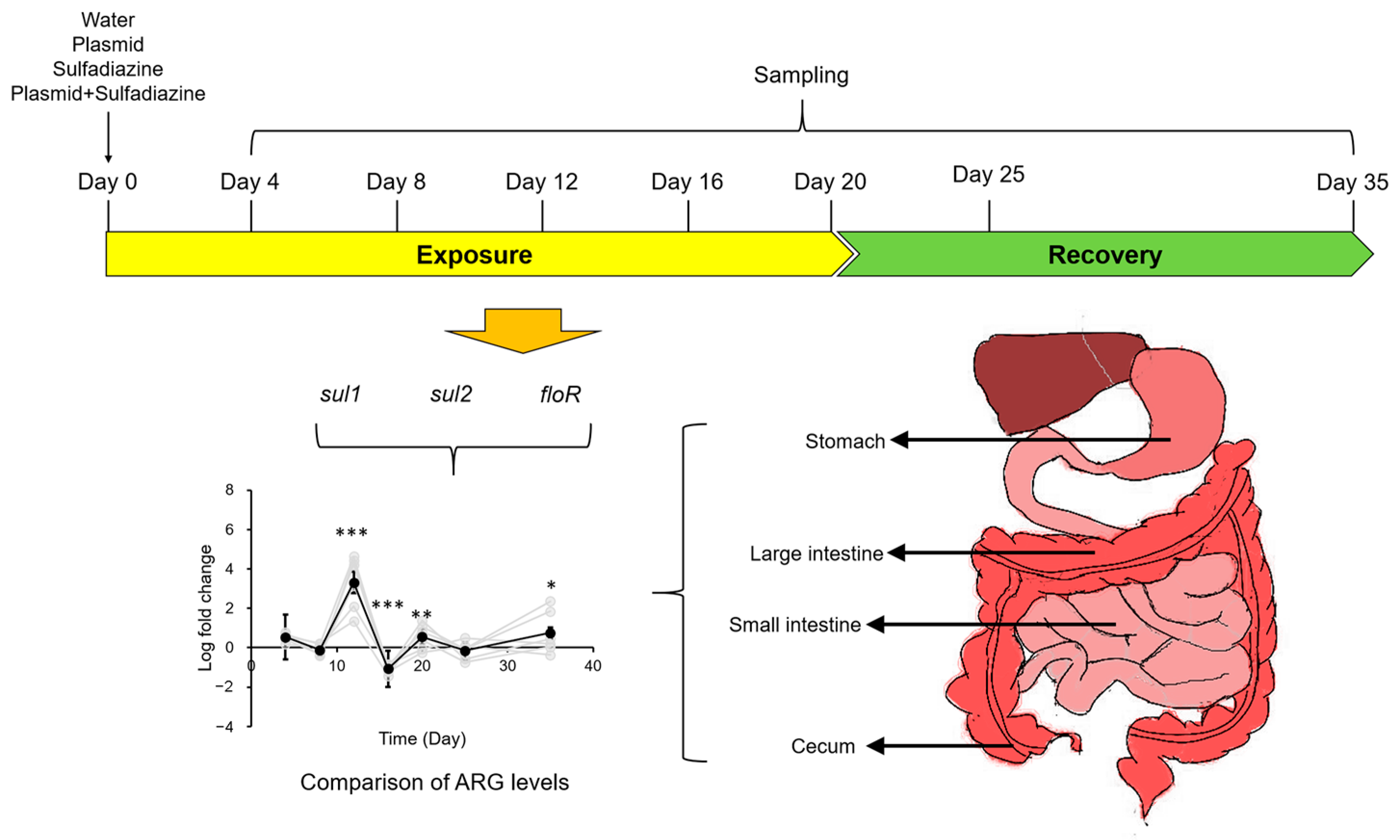 Biology 12 00210 g001