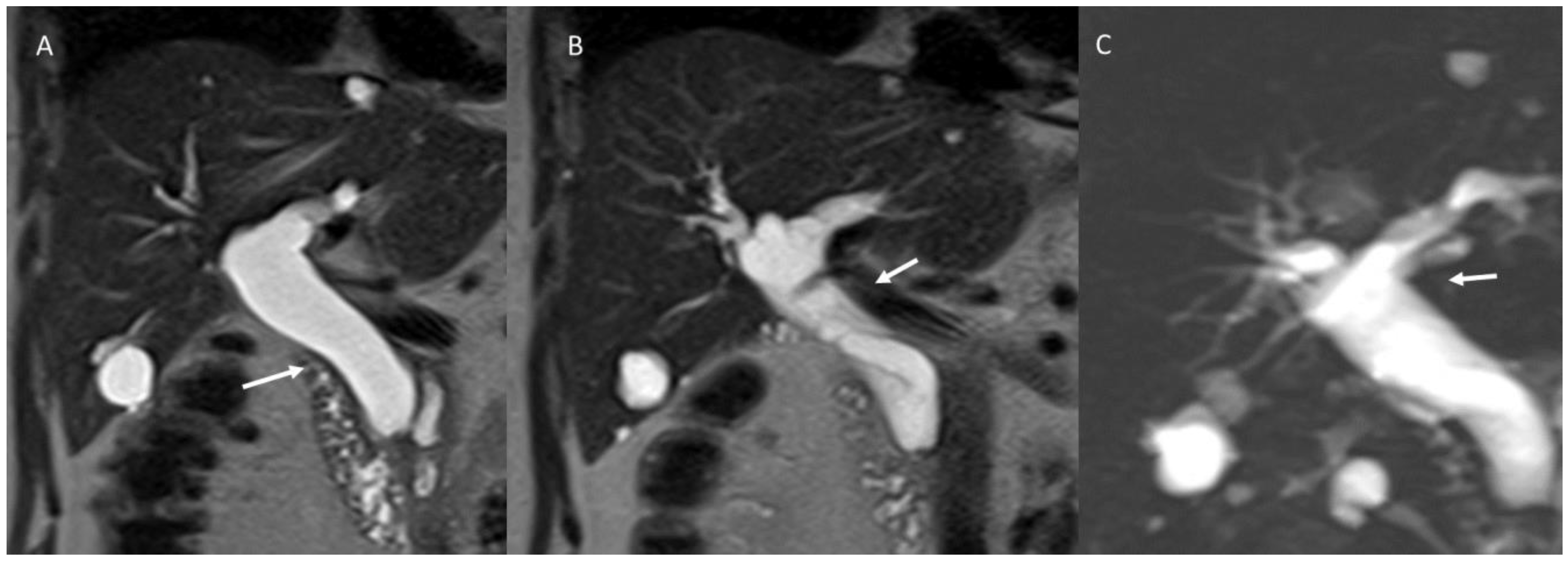 Biology 12 00213 g002