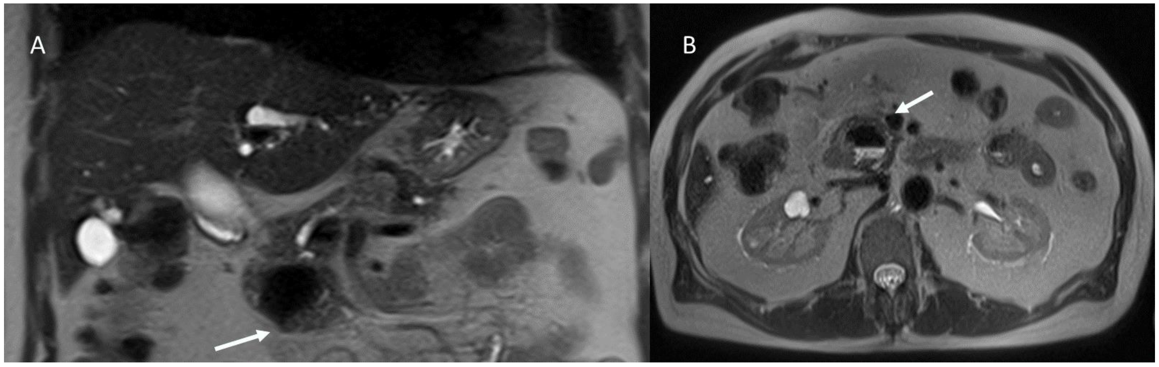Biology 12 00213 g003