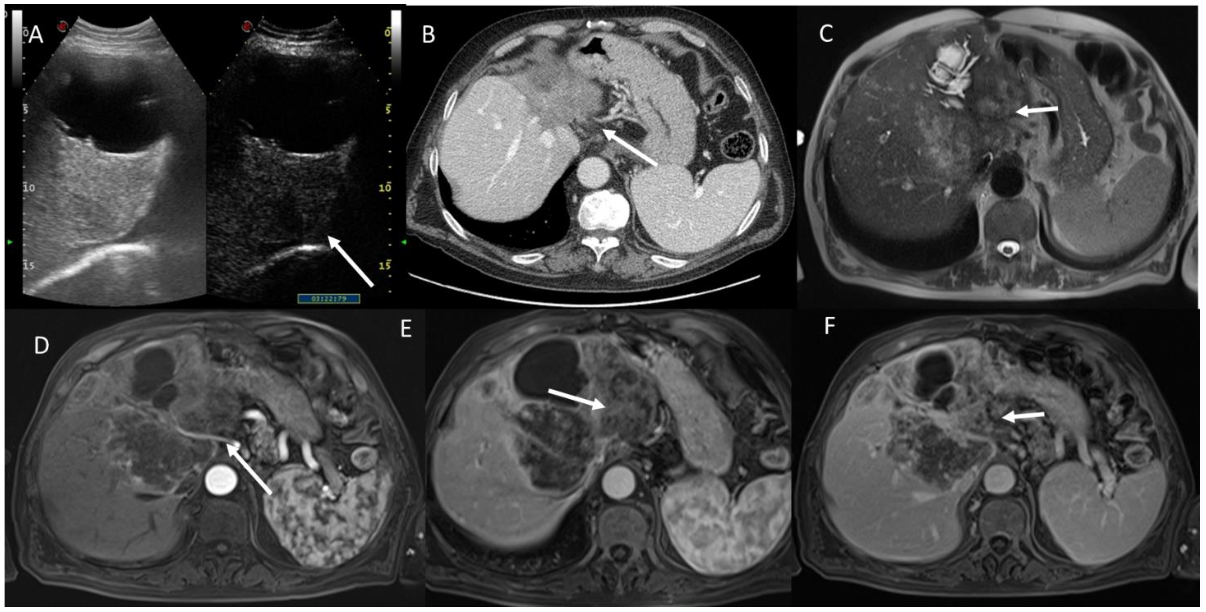 Biology 12 00213 g007