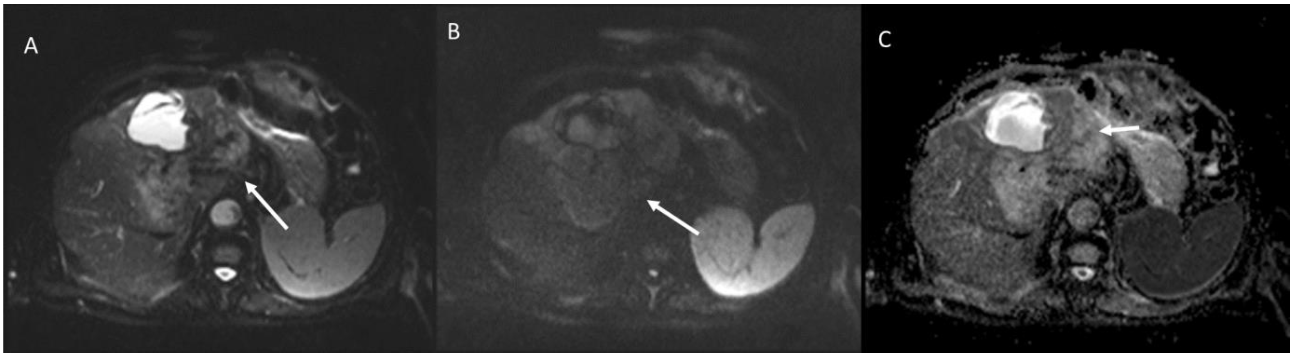 Biology 12 00213 g008