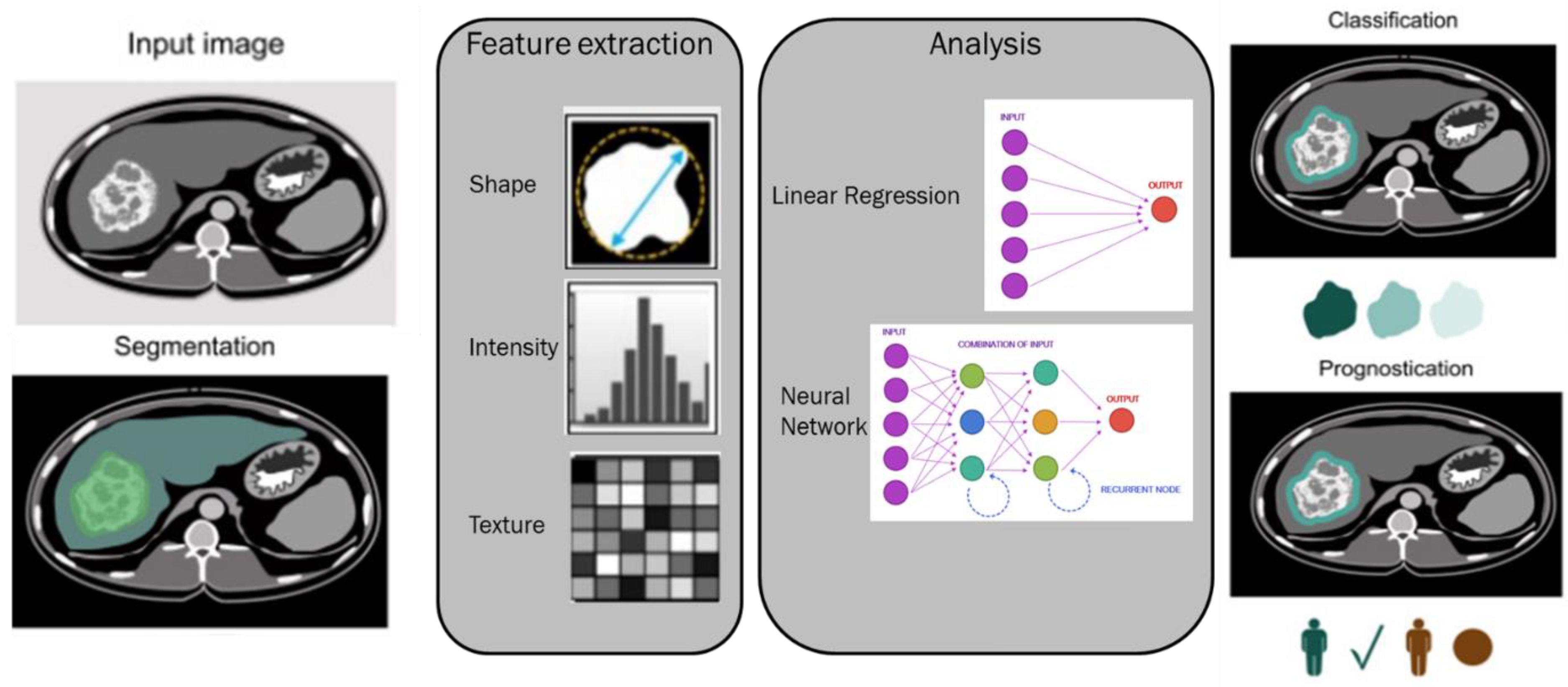 Biology 12 00213 g011
