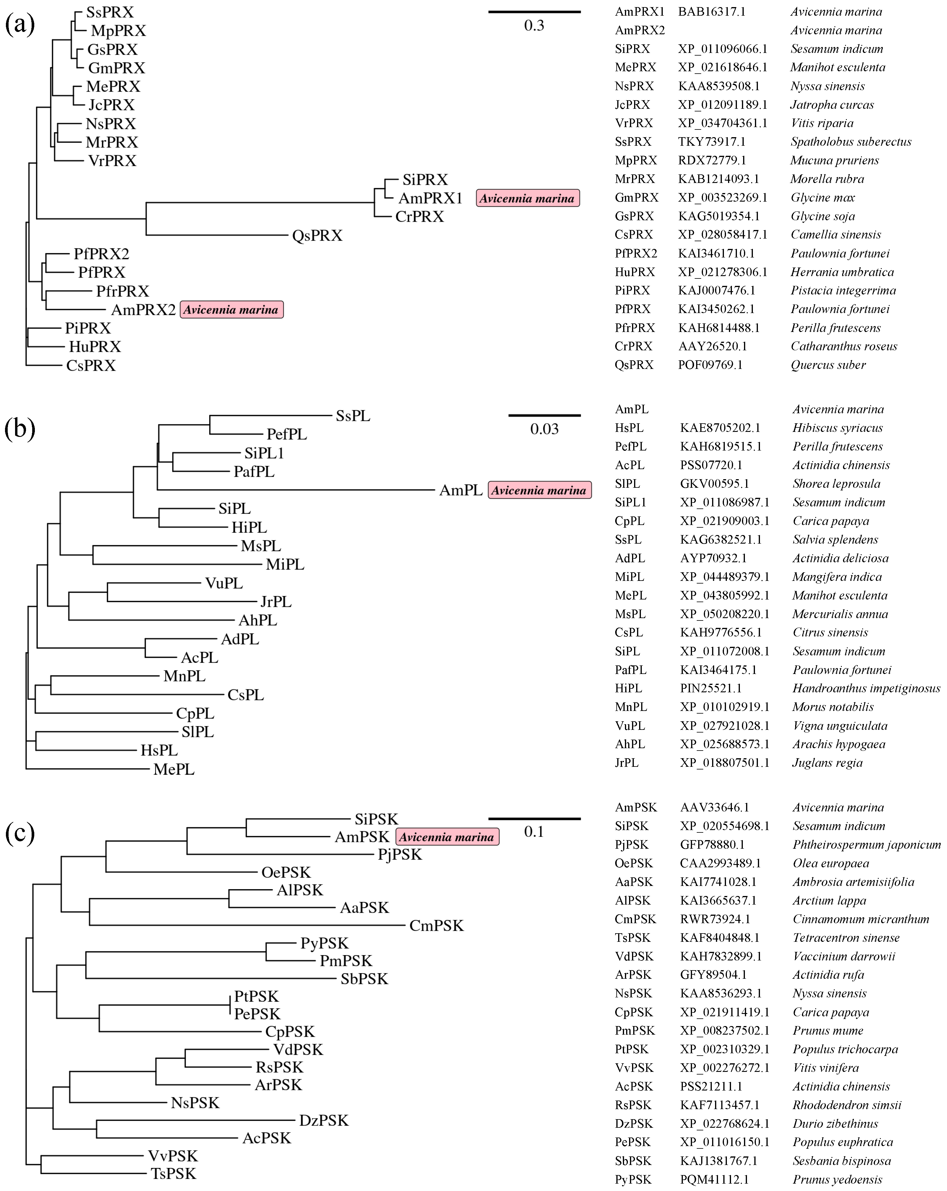 Biology 12 00216 g001