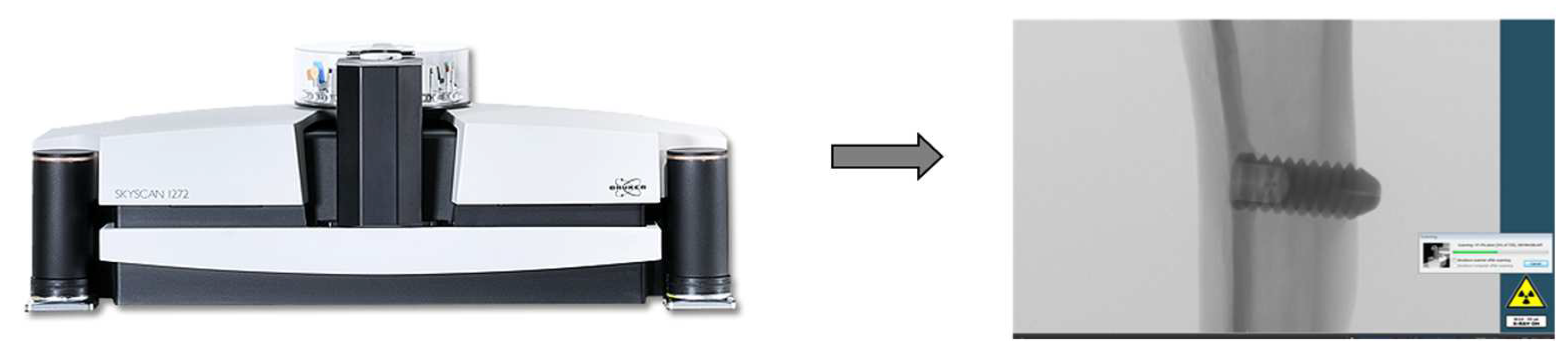 Biology 12 00228 g002