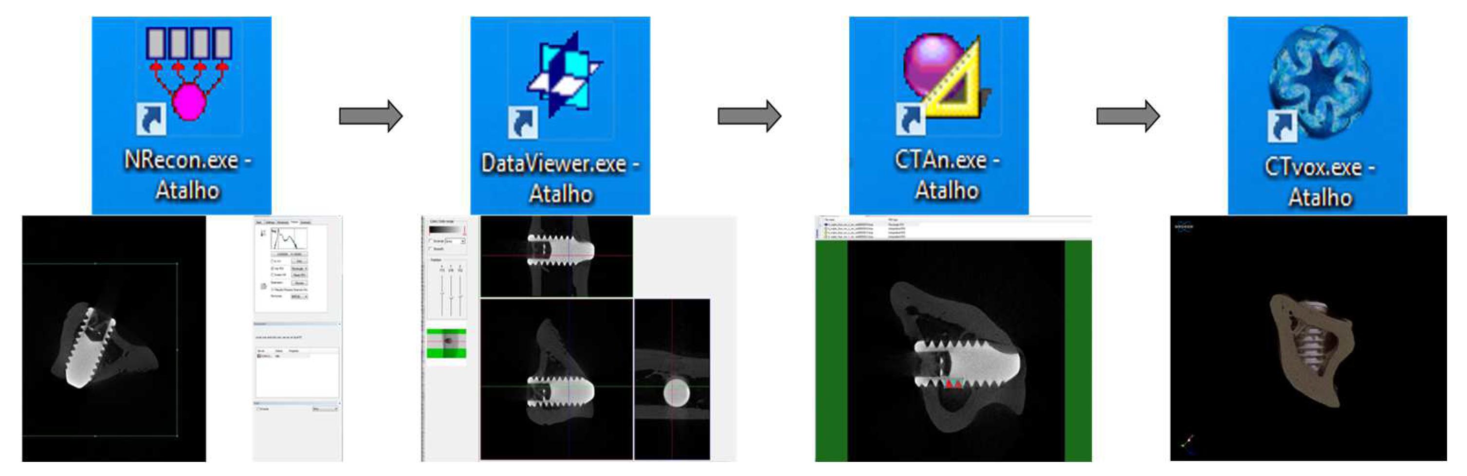 Biology 12 00228 g003