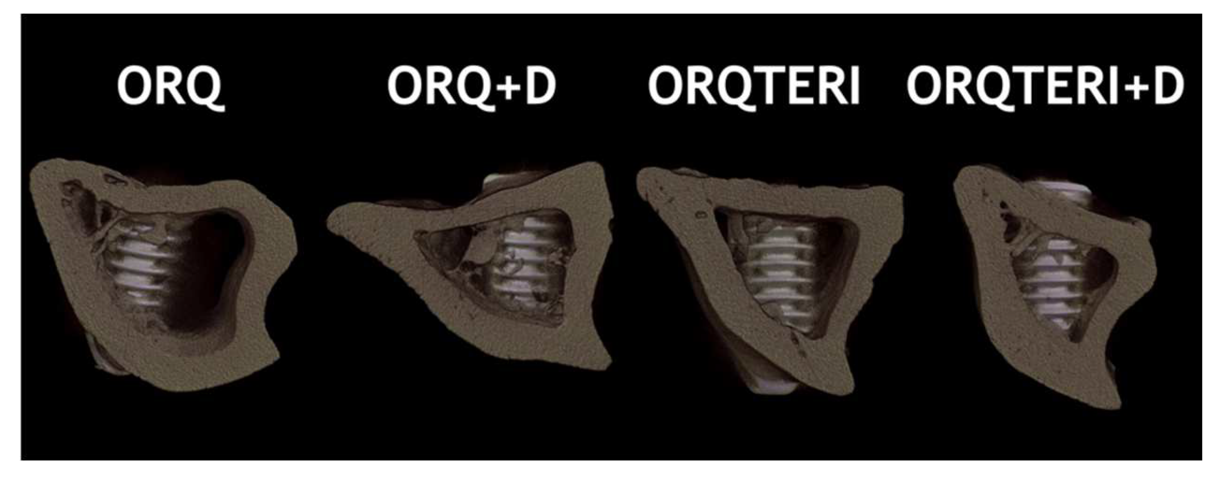 Biology 12 00228 g010