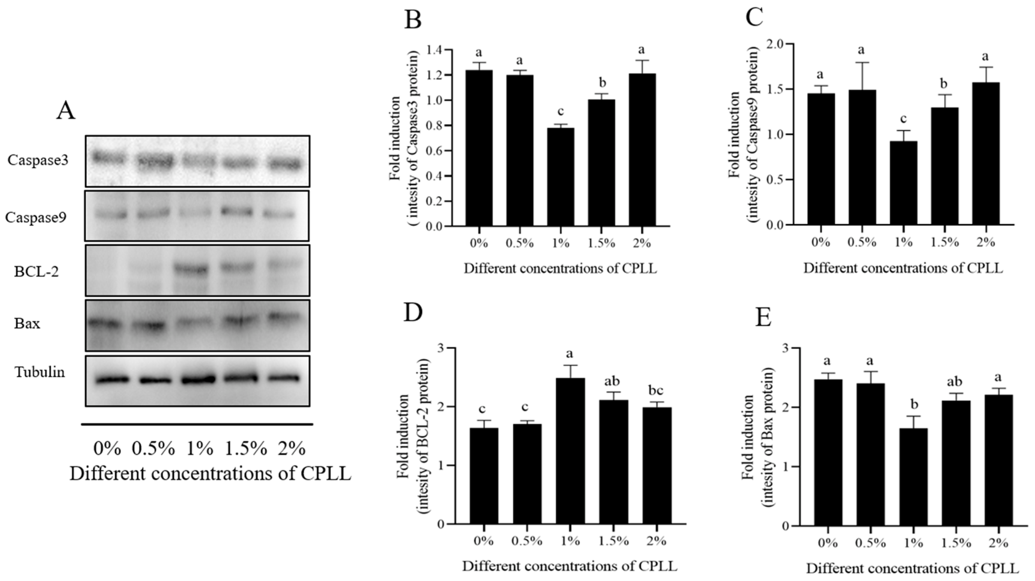 Biology 12 00231 g005