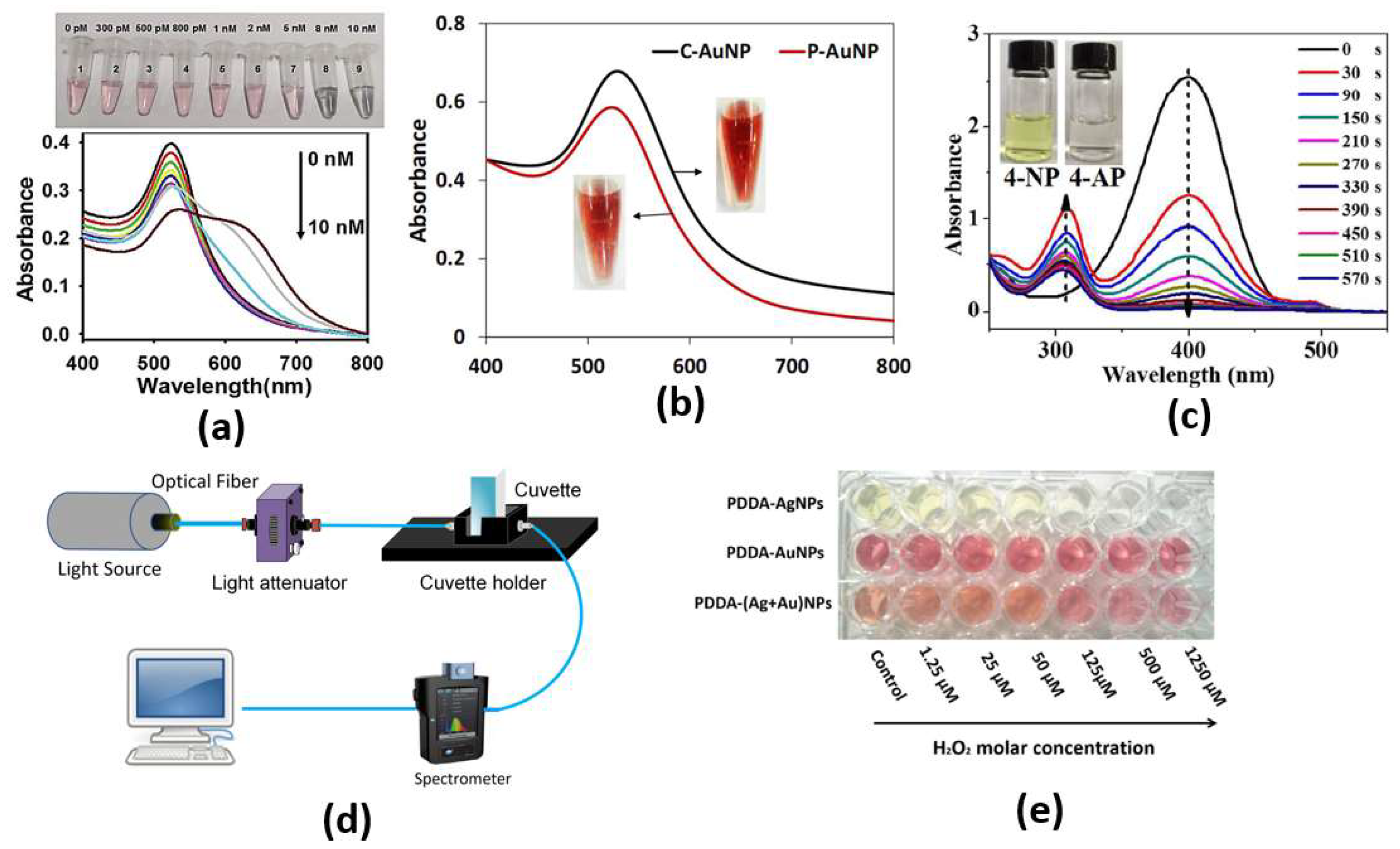 Biology 12 00232 g003