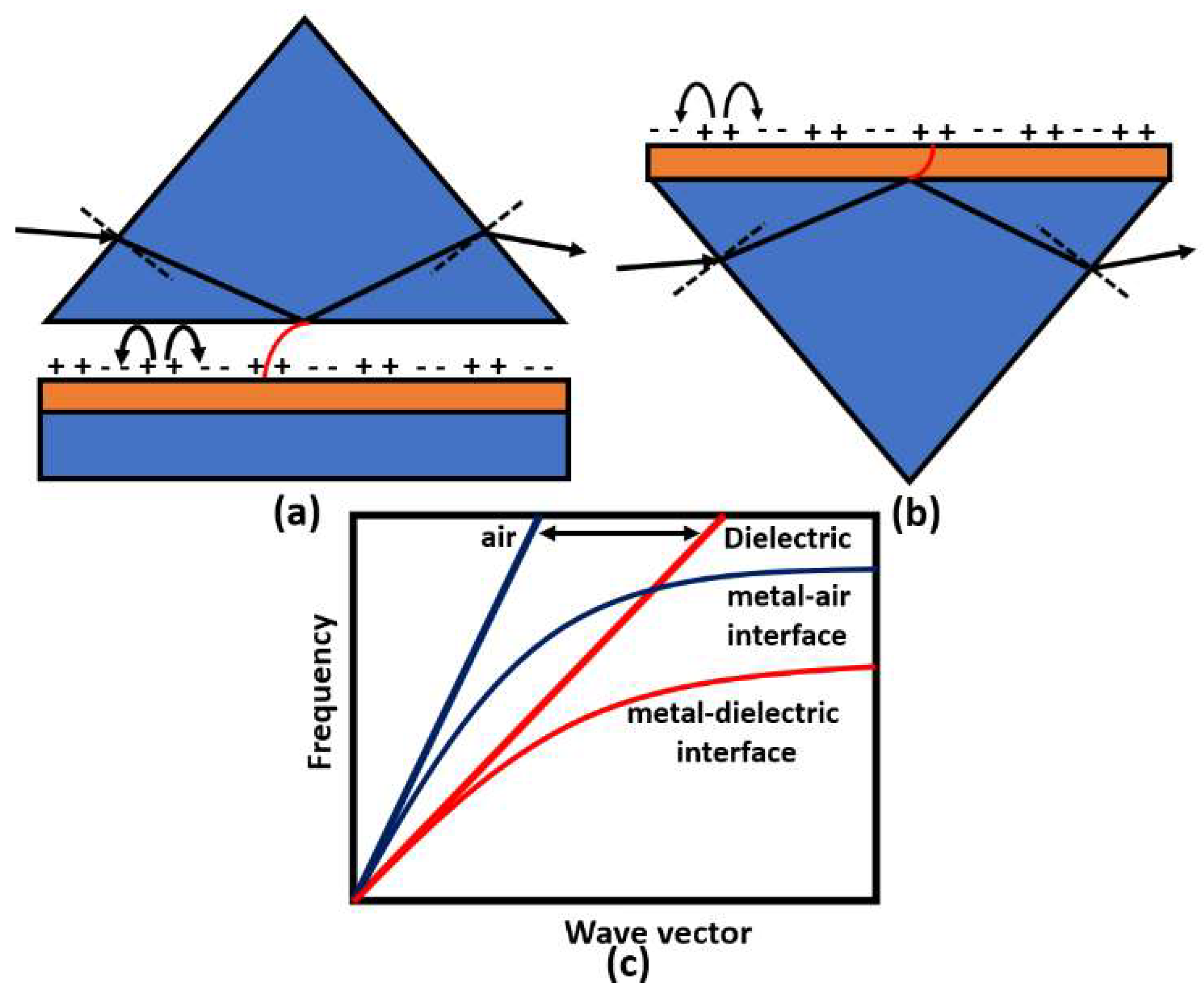 Biology 12 00232 g008