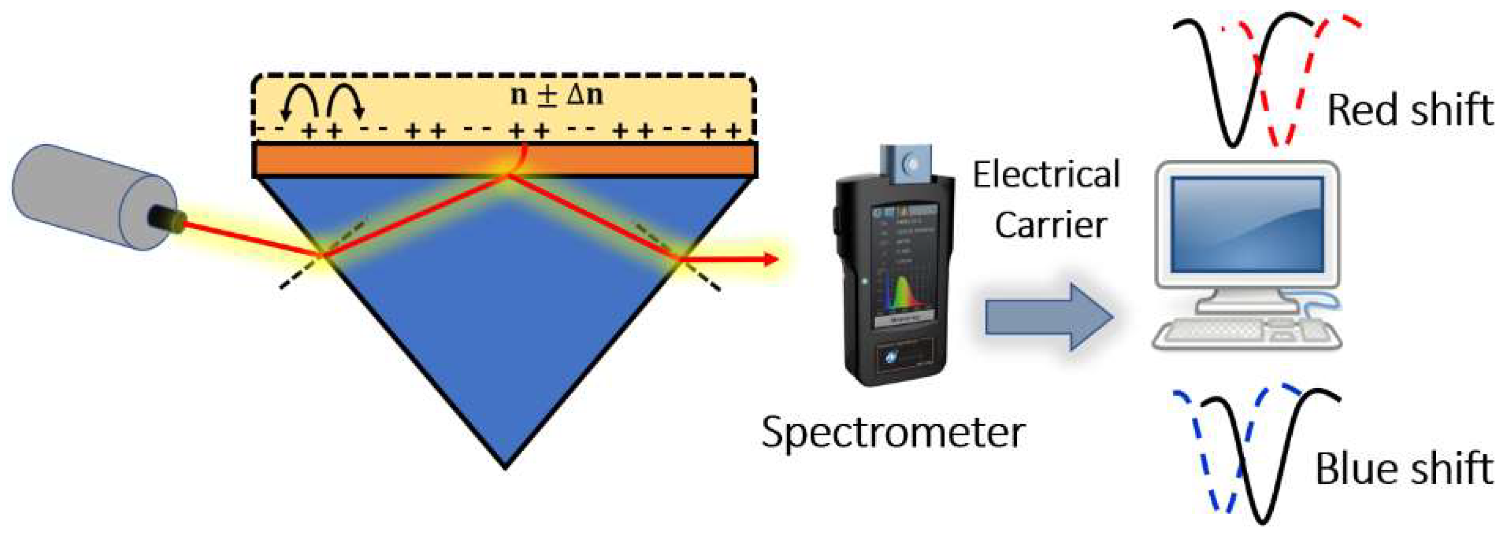 Biology 12 00232 g009